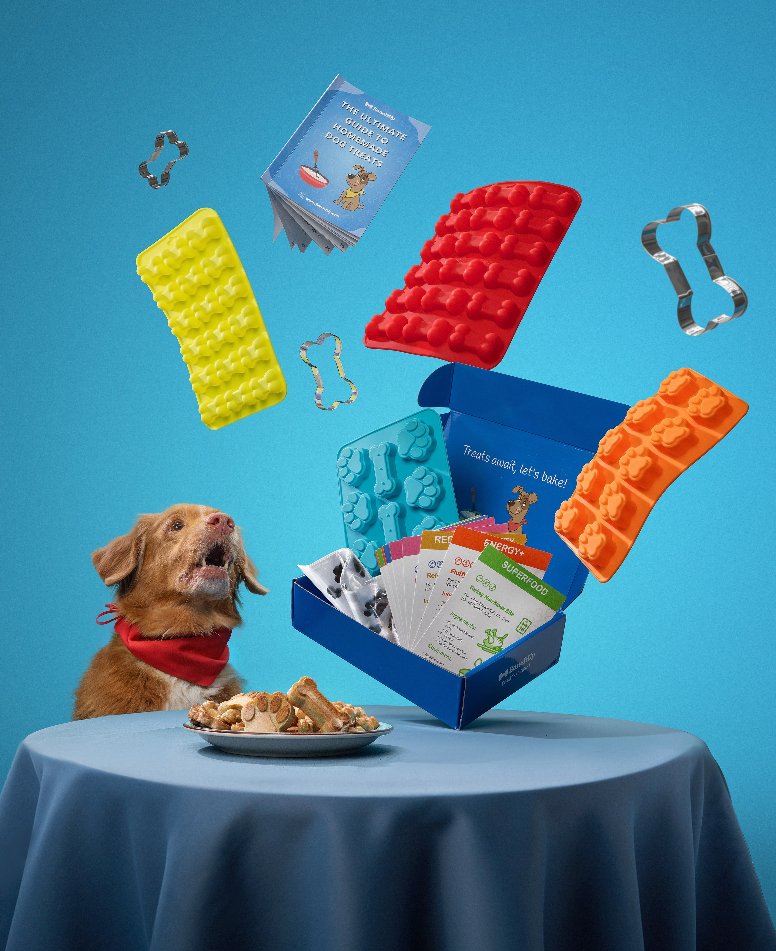 Advertising shooting with animals. Pets in advertising. Dog photographer Averianova Anna — Art photography of dogs