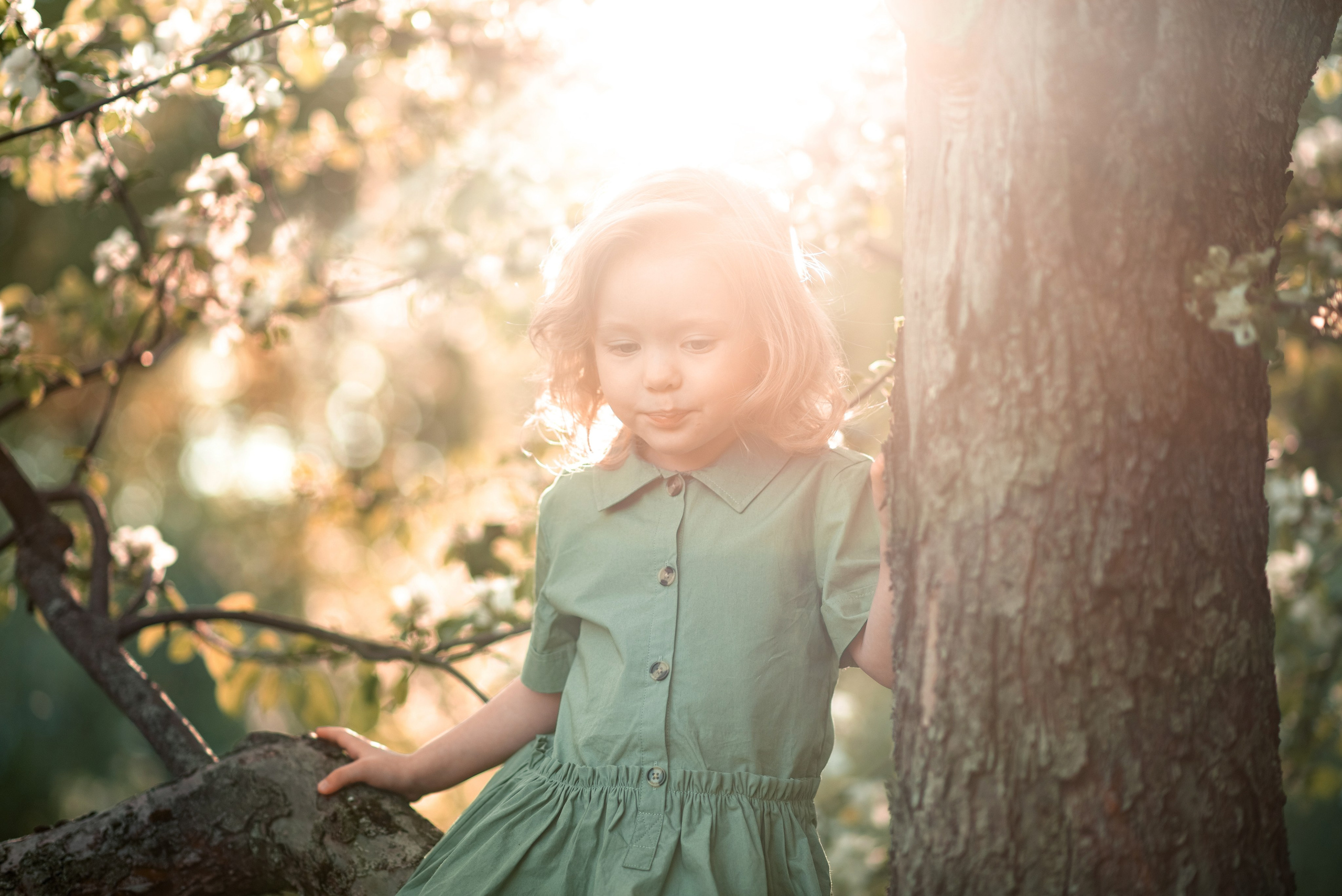 Семейная фотосессия в цветении. Ясная Поляна. Семейный и детский фотограф в Туле Светлана Воронкова