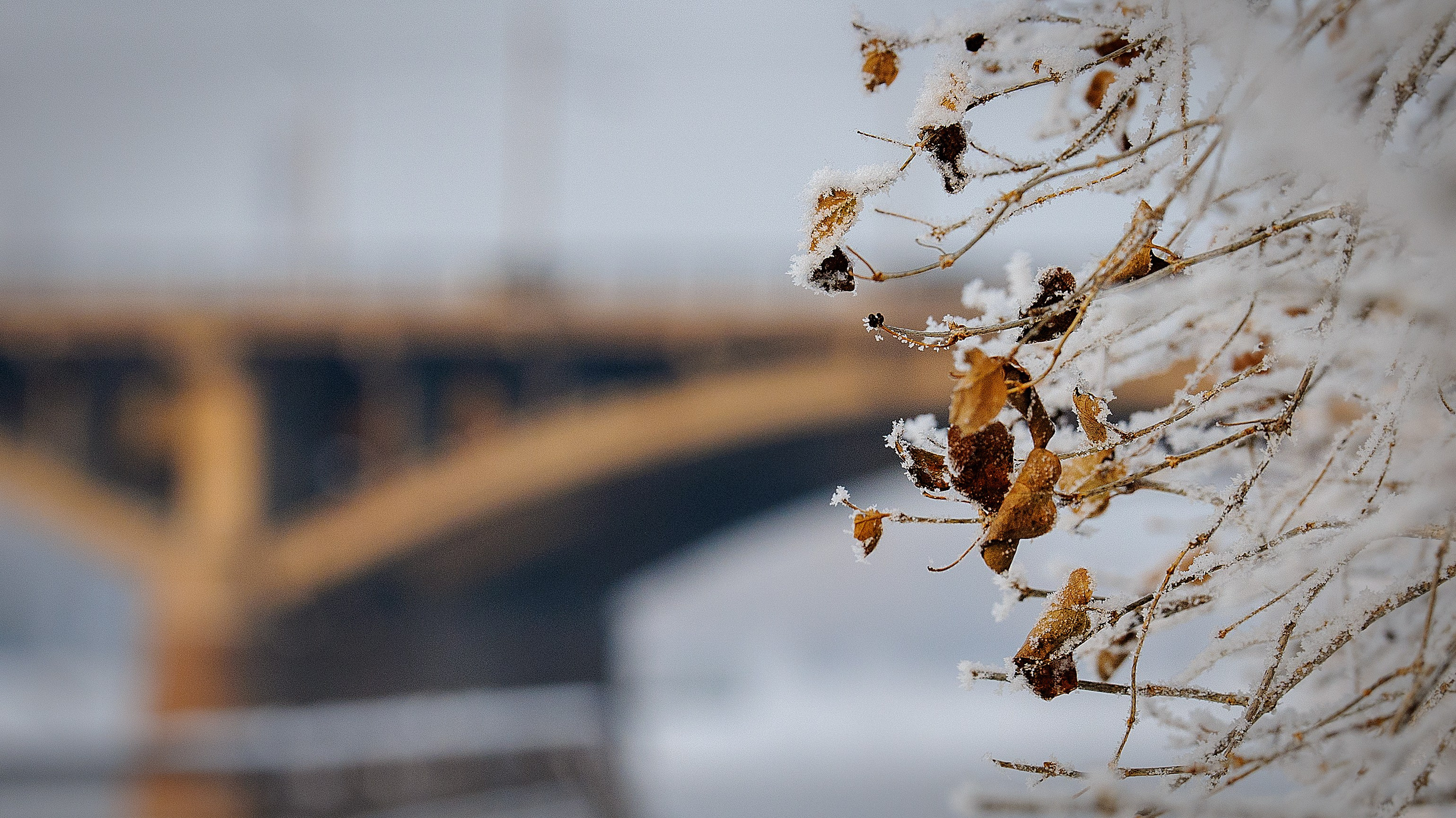Сибирская зима прекрасна!. FotoGraf