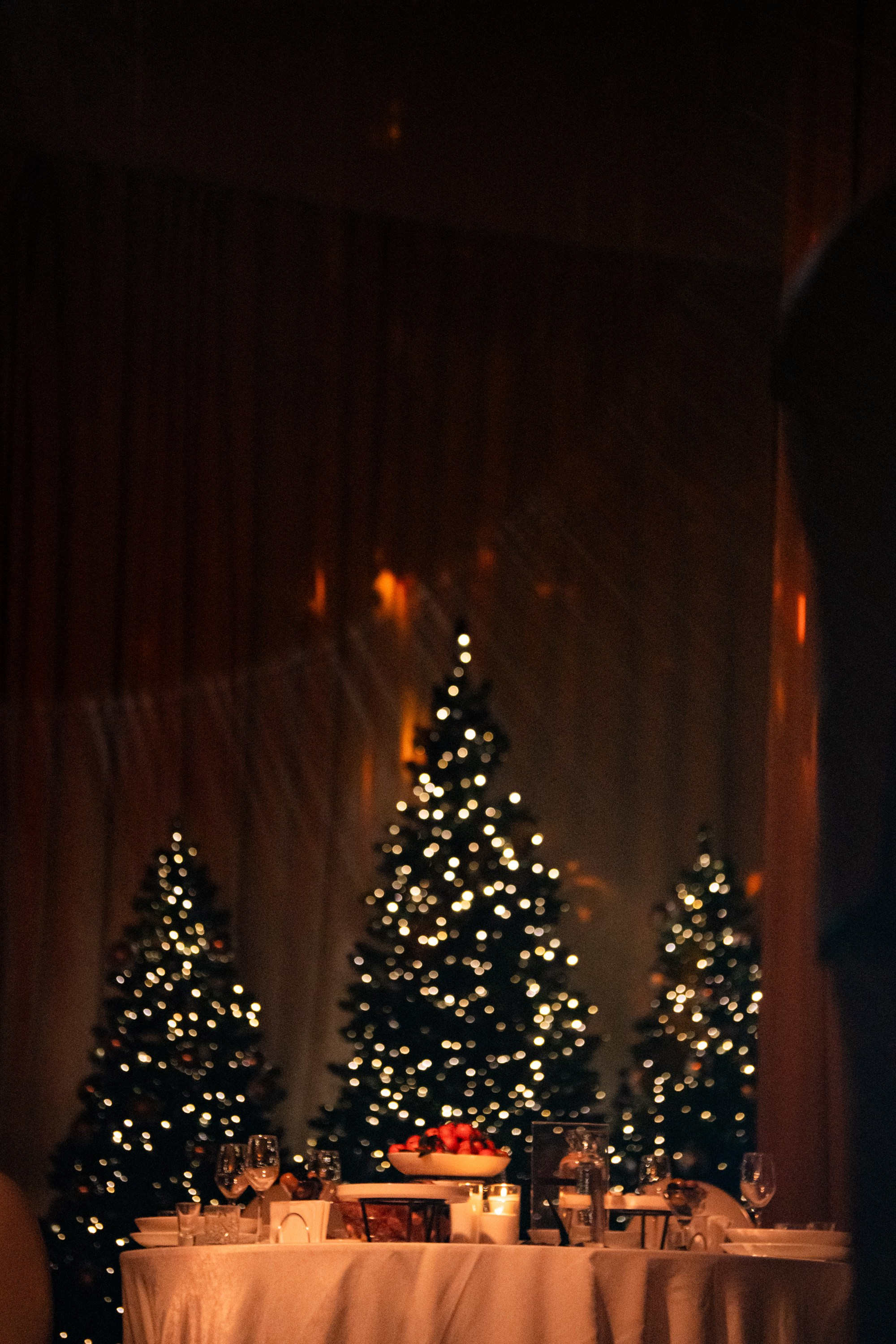 Репортаж с новогоднего корпоратива Jani Cristal