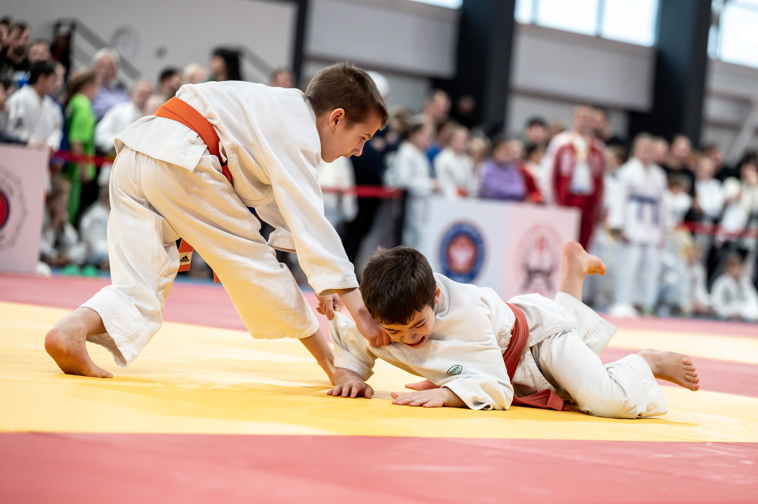 Новогодний турнир по дзюдо. Январь 2024. Спортивный фотограф в Туле и Тульской области. Файсханова Фото Спорт