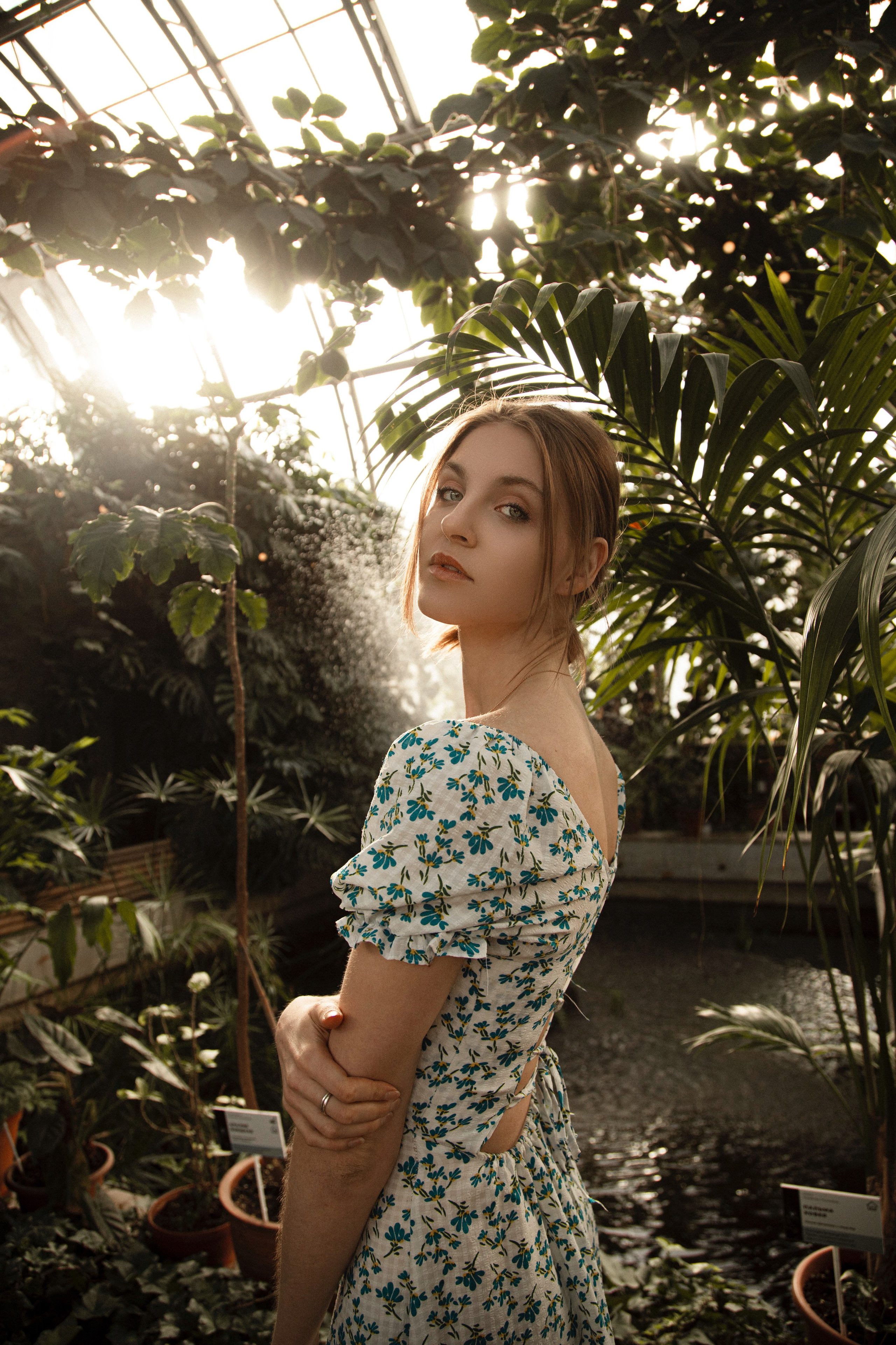 Оранжерея Таврического сада