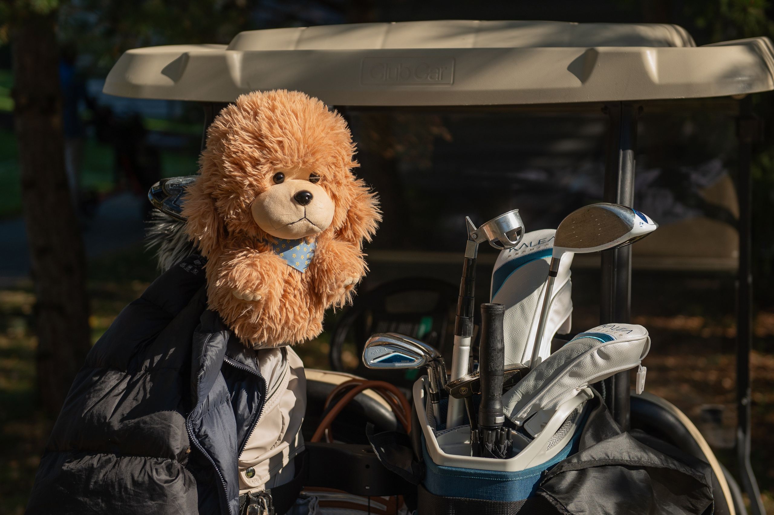 Турнир по гольфу. Профессиональный фотограф в Москве Александра Харламова