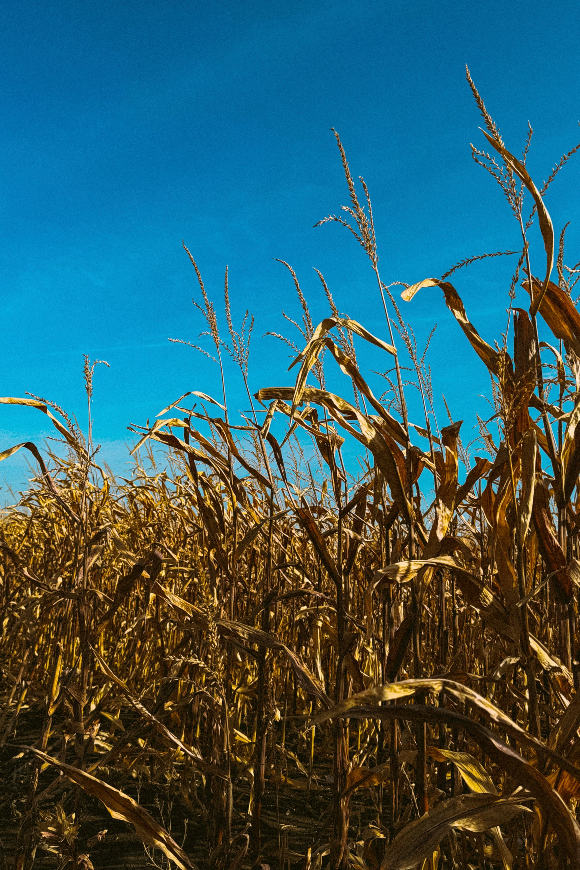 Природа. Команда фотографов Кристины Ивановой