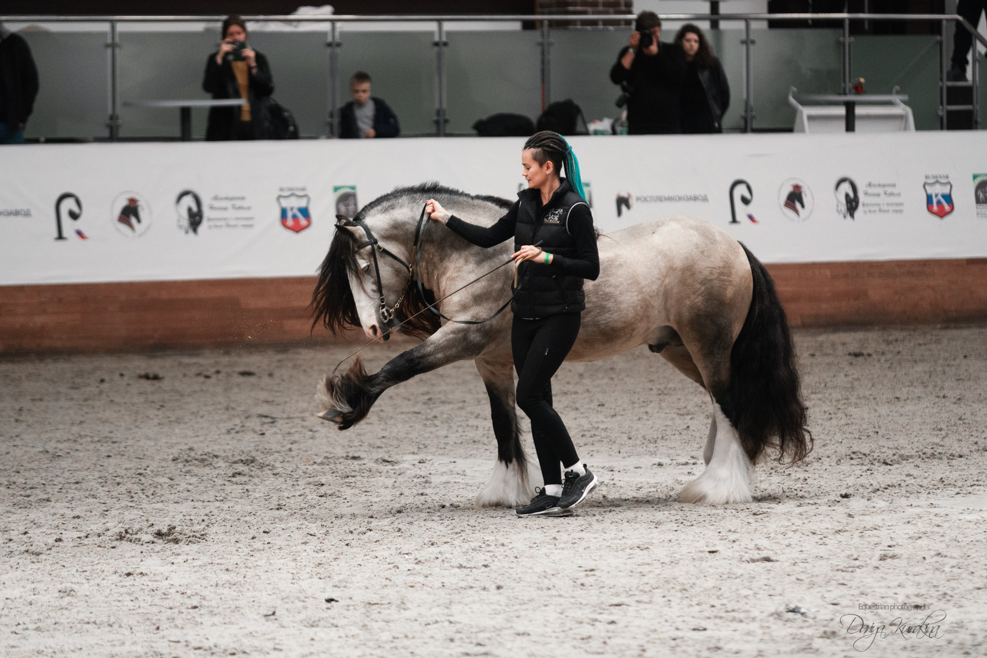 8-я международная выставка Конная Россия. Конный фотограф Куракина Дарья • Фотосессии с лошадьми
