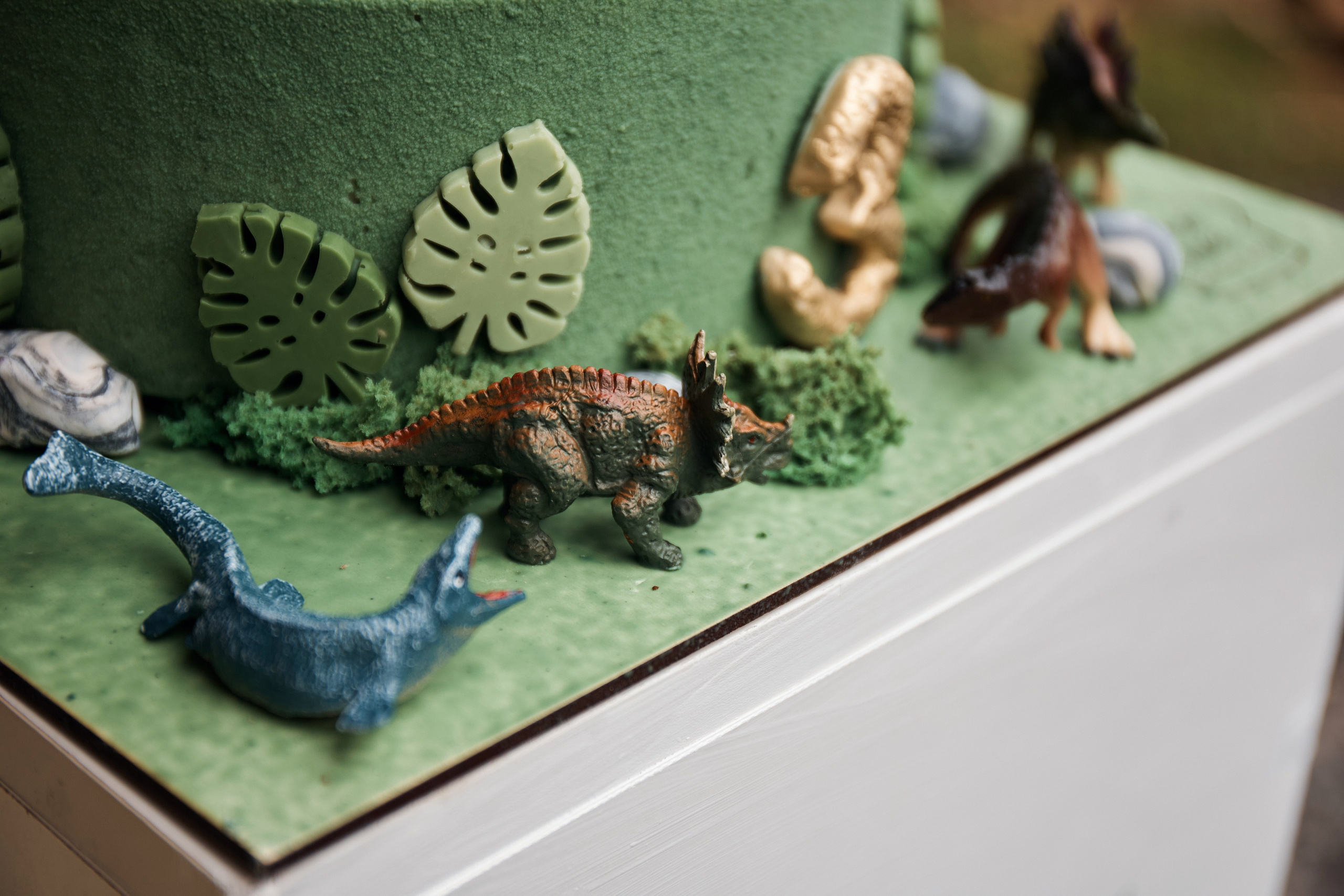 Дино-праздник. Детский и семейный фотограф Шемарова Ольга