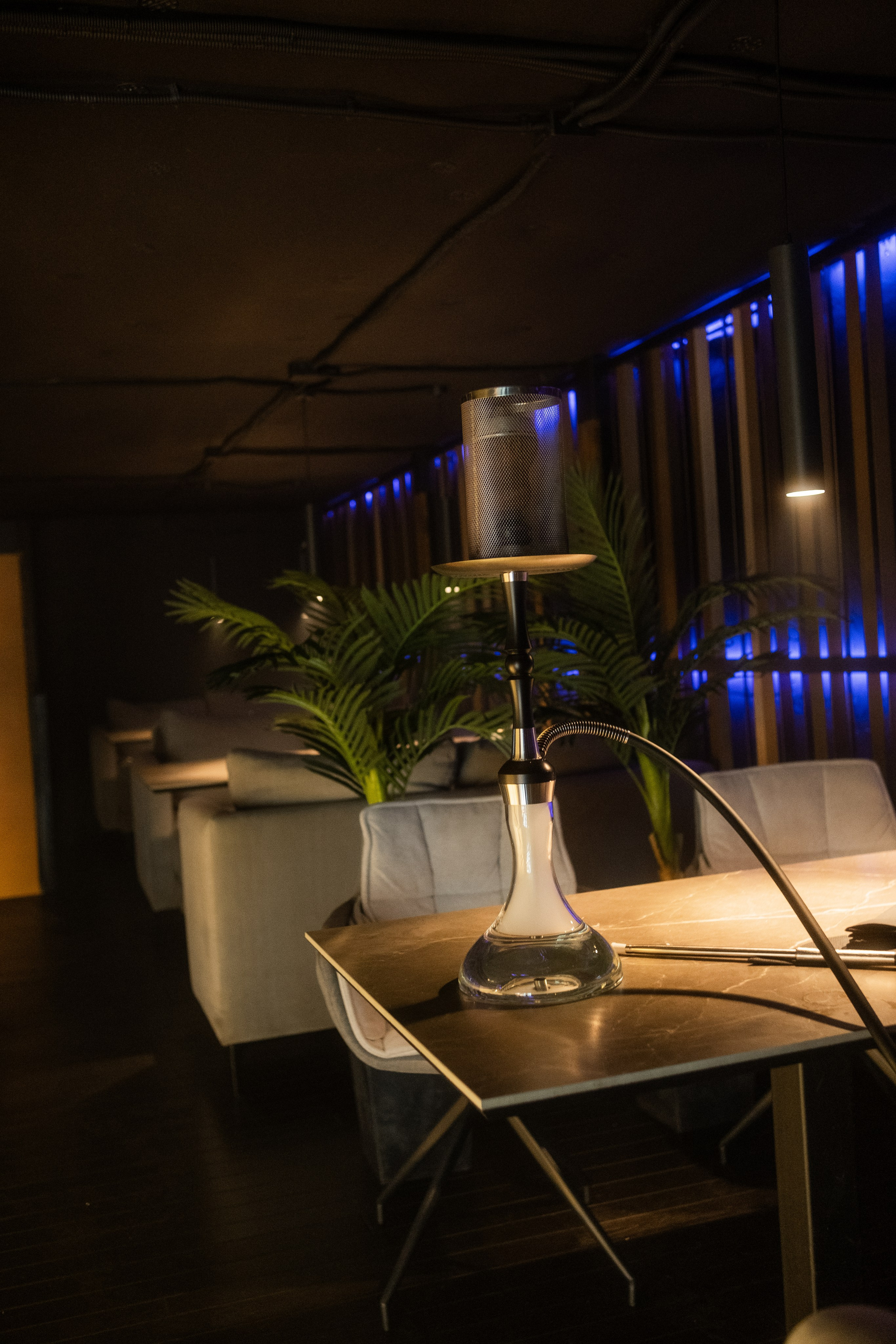 Bar «FT» / День города. Фотограф в Тюмени Кирилл Марфин