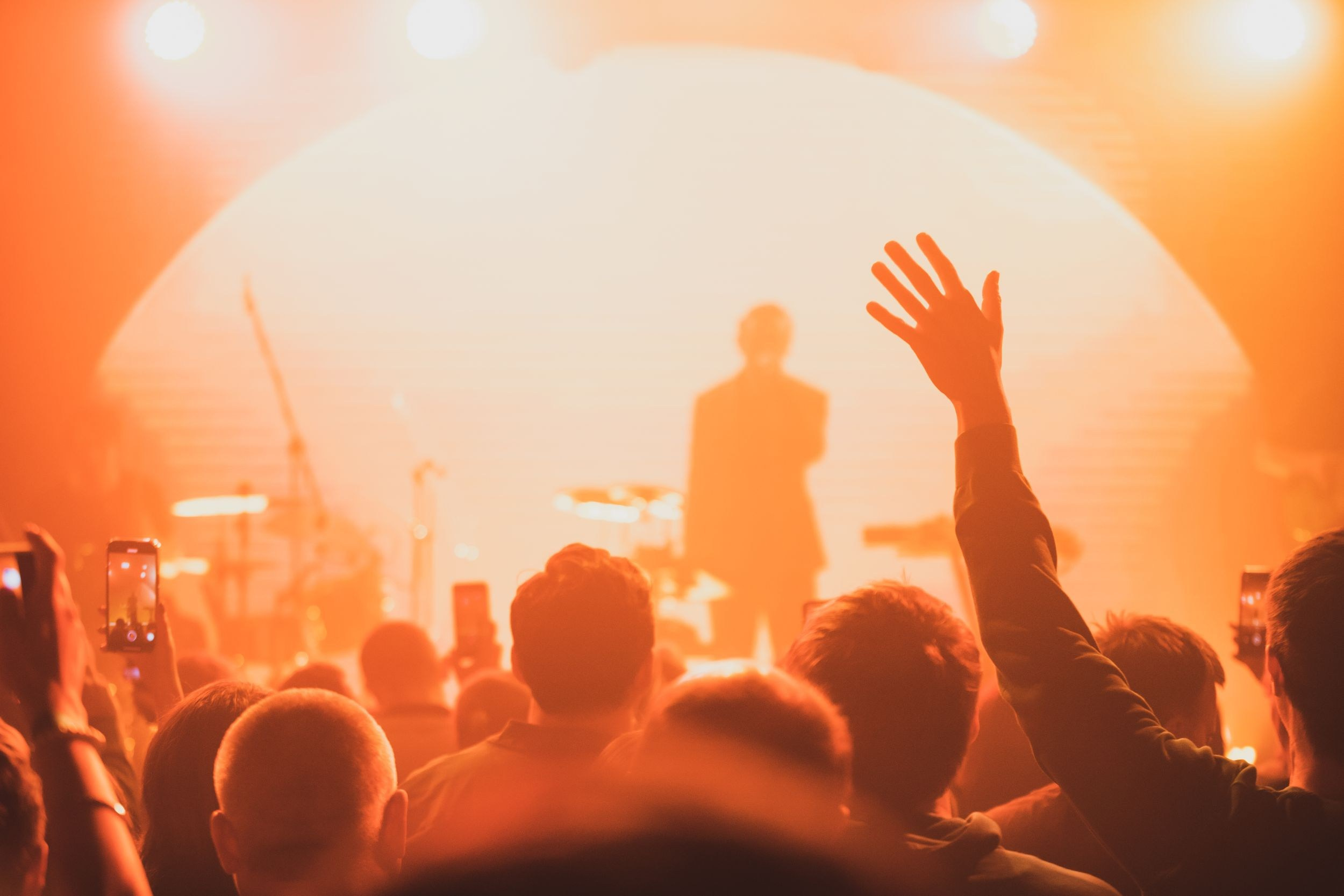 Дельфин. Репортажный фотограф Алексей Пирязев