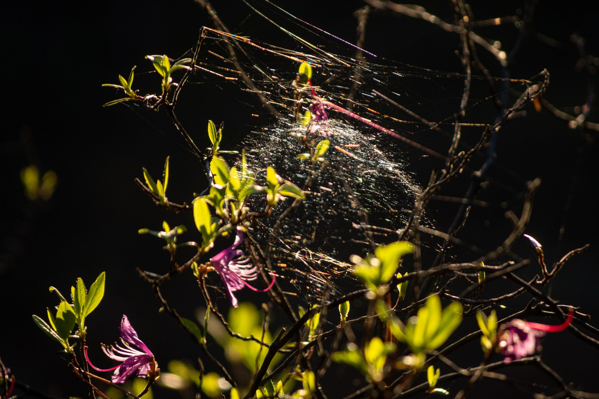 Разное. Репортажный фотограф г. Чита