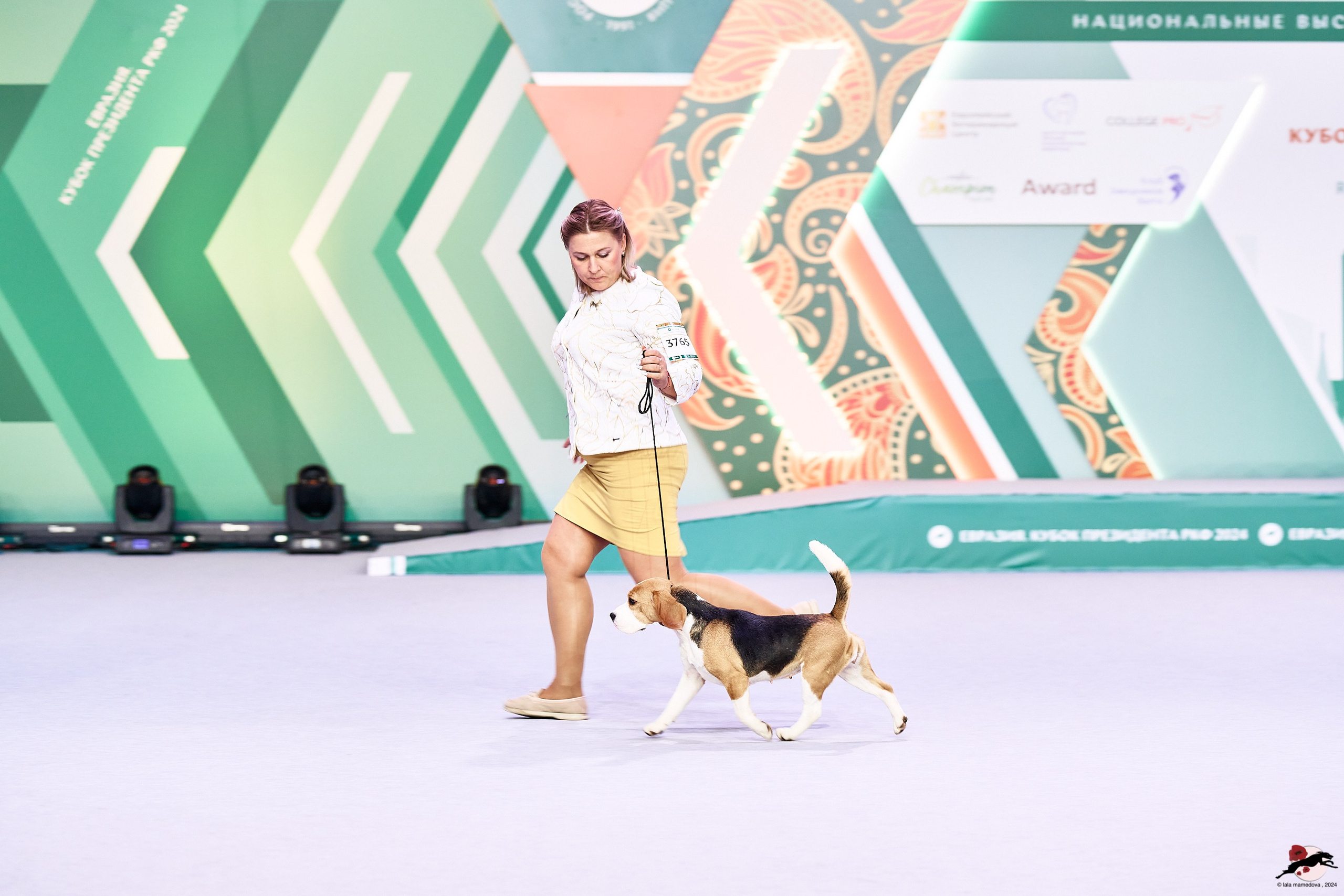 16.11.2024 «ЕВРАЗИЯ. КУБОК ПРЕЗИДЕНТА РКФ 2024»