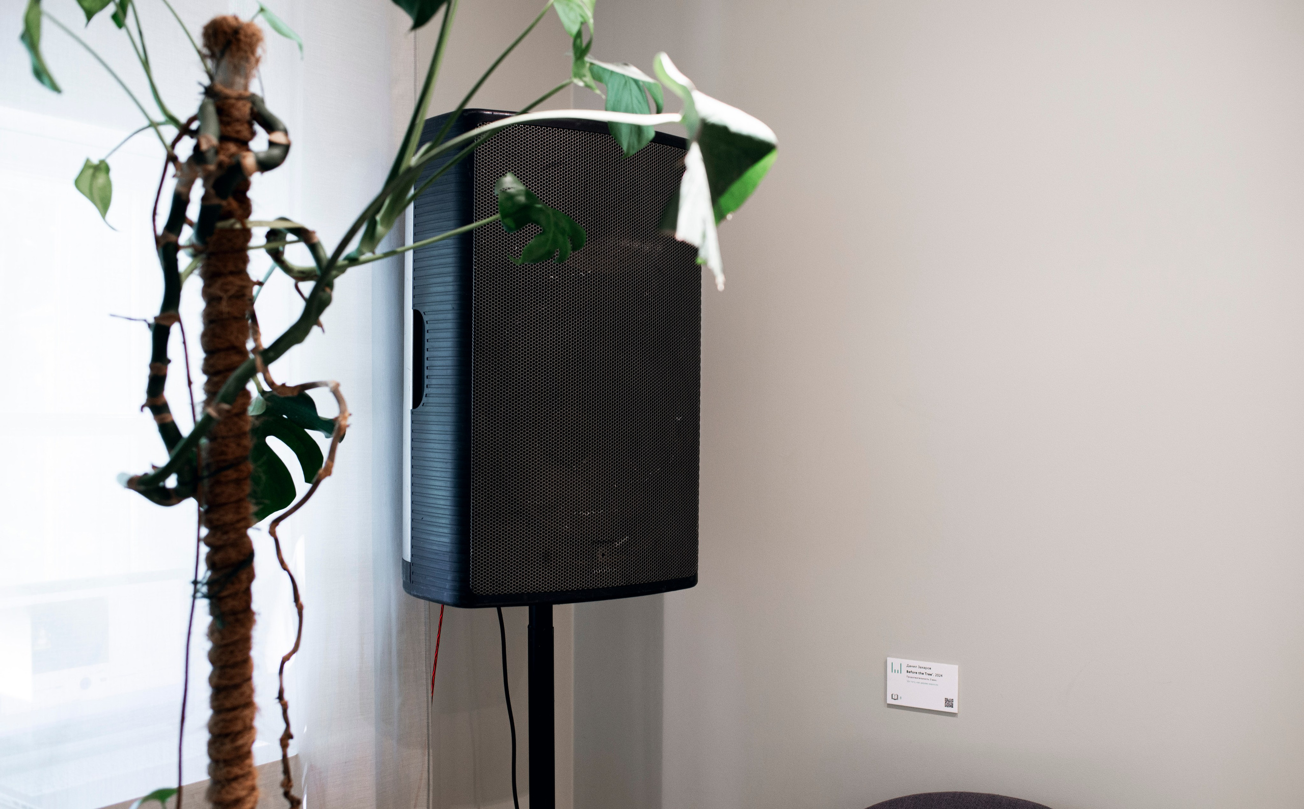 Выставка в доме Третьяковых. Фотограф в Москве Алейникова Евгения