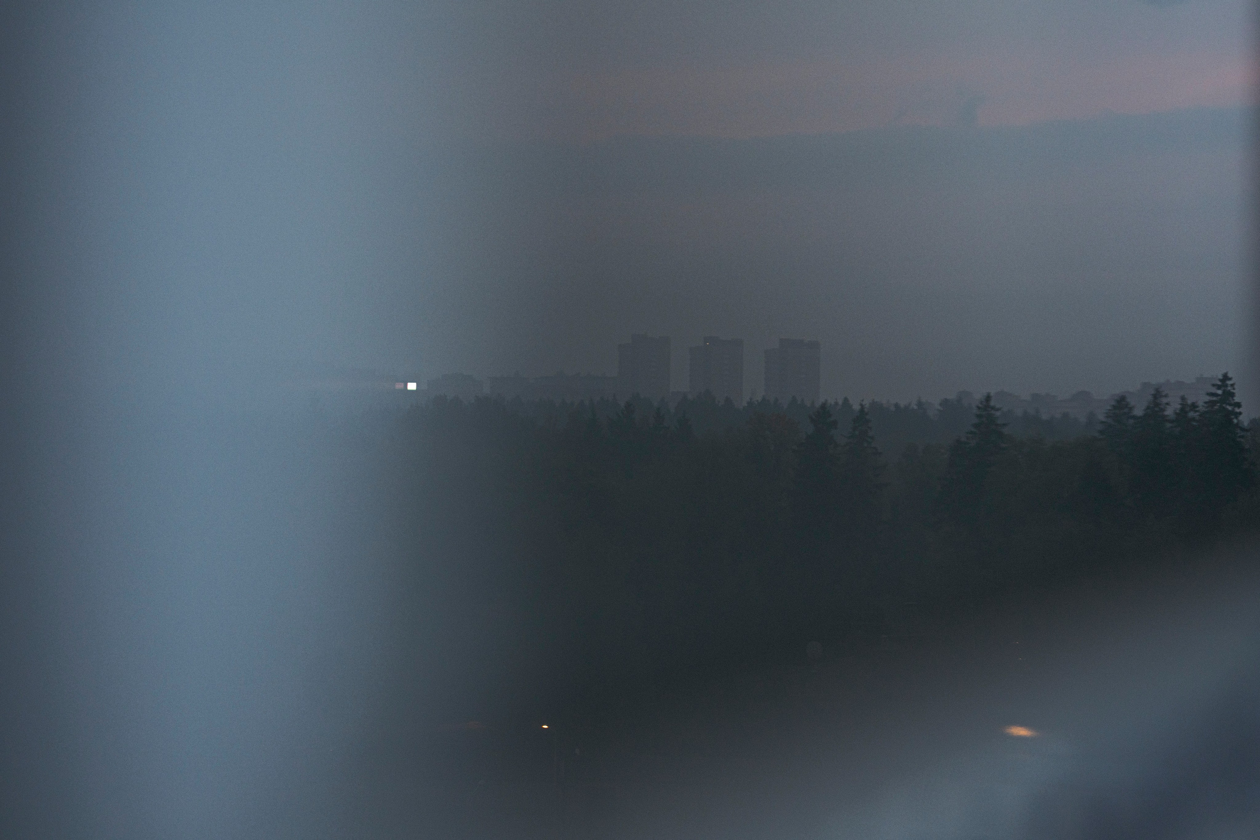 Разное неважное. Фотограф в Москве Алейникова Евгения