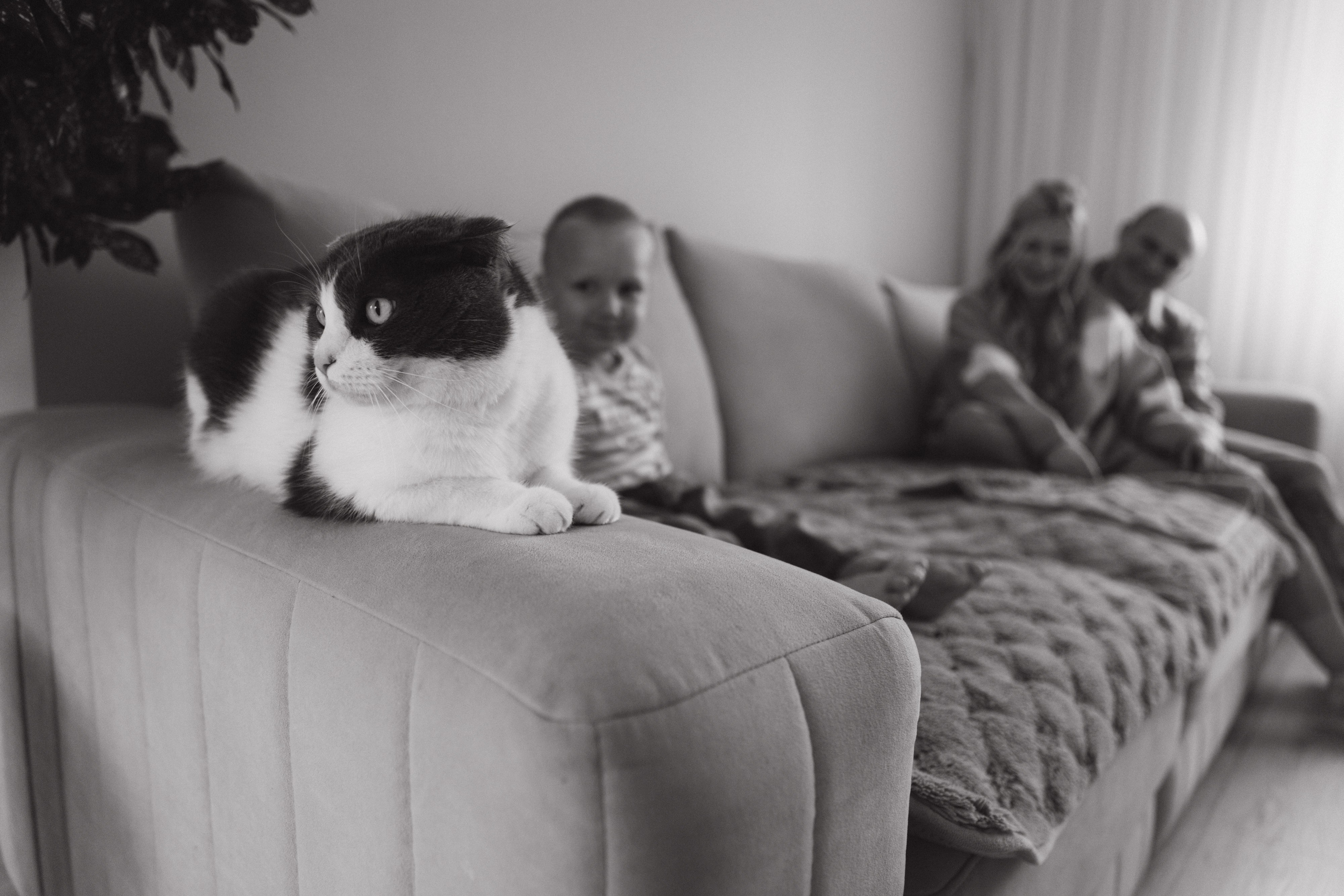 Home A & A. Семейный и детский фотограф Башкатова Дарья Старый Оскол