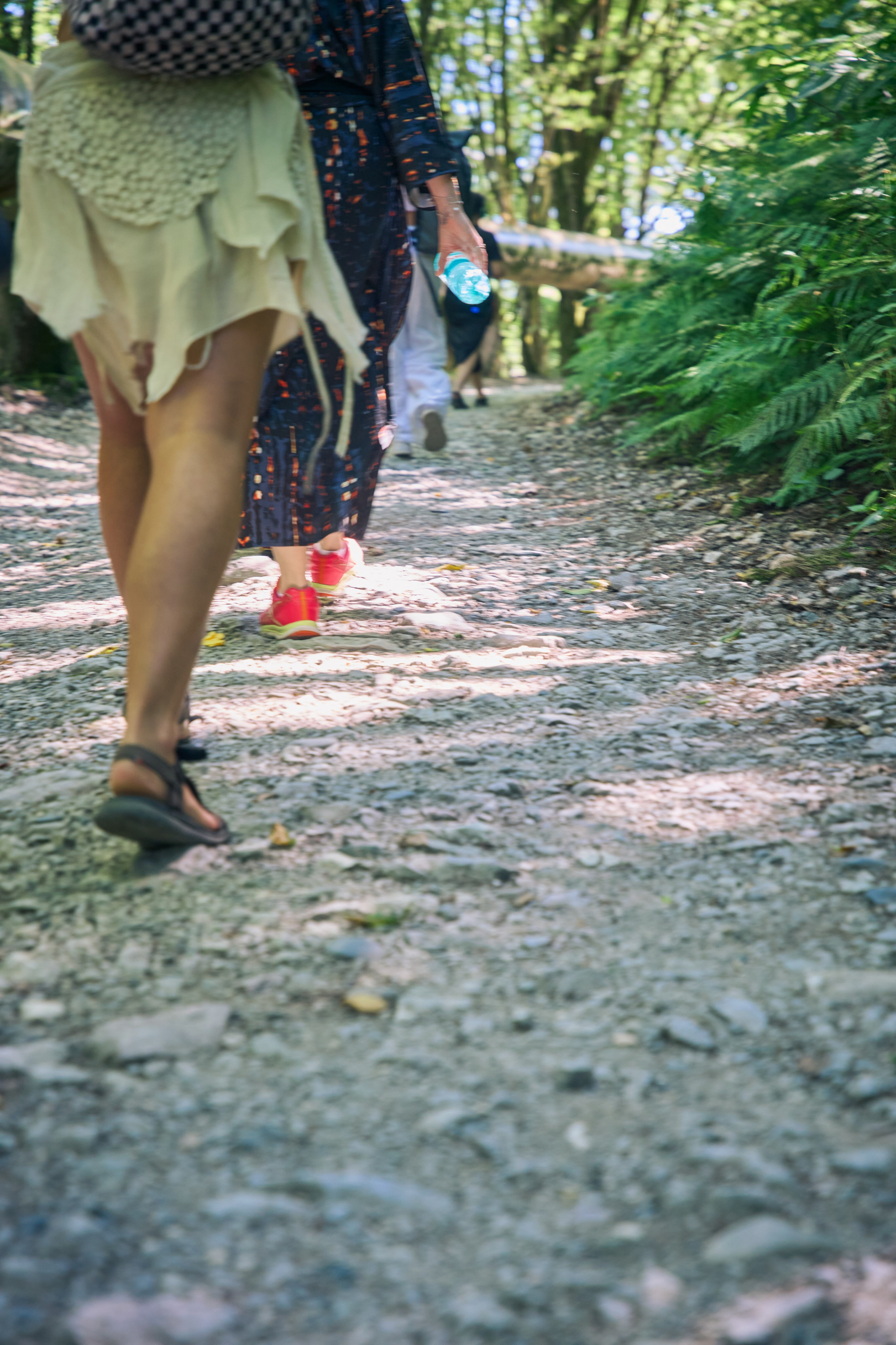 Съемка мероприятия на природе. Индивидуальный фотограф в Сочи Владимир Чудинов
