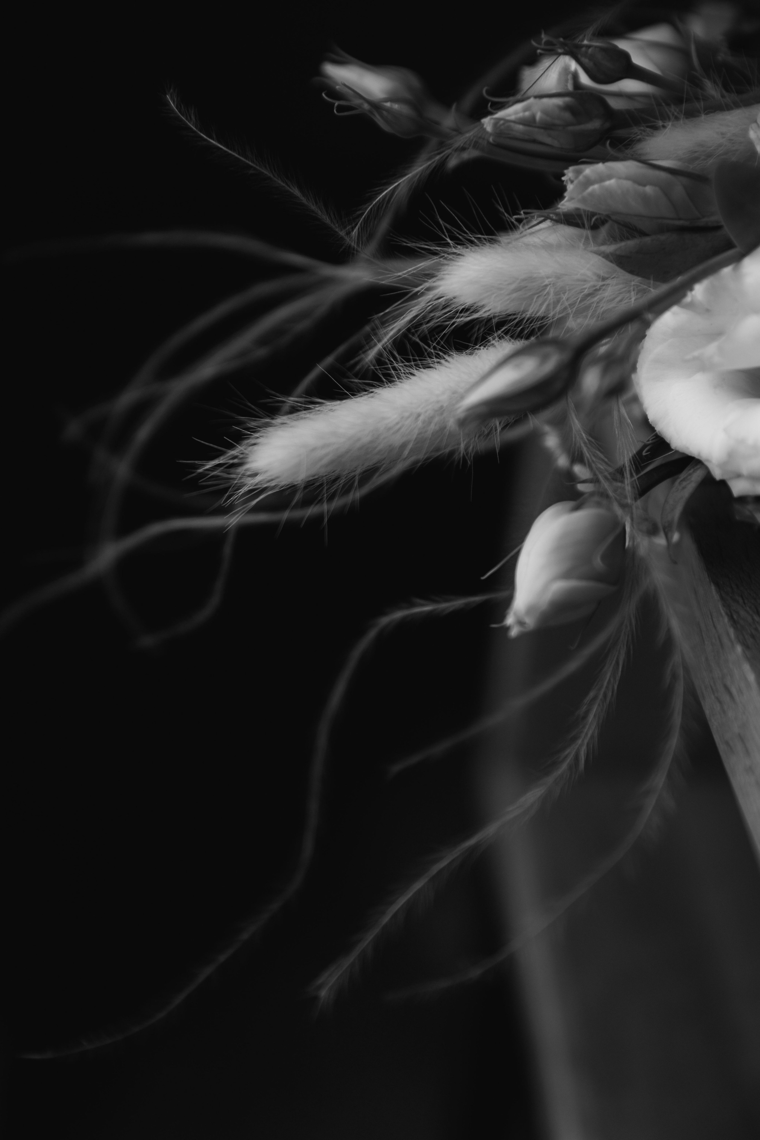 Свадьба Игорь и Оксана. Свадебный и семейный фотограф в Севастополе и Крыму Анастасия Сураева