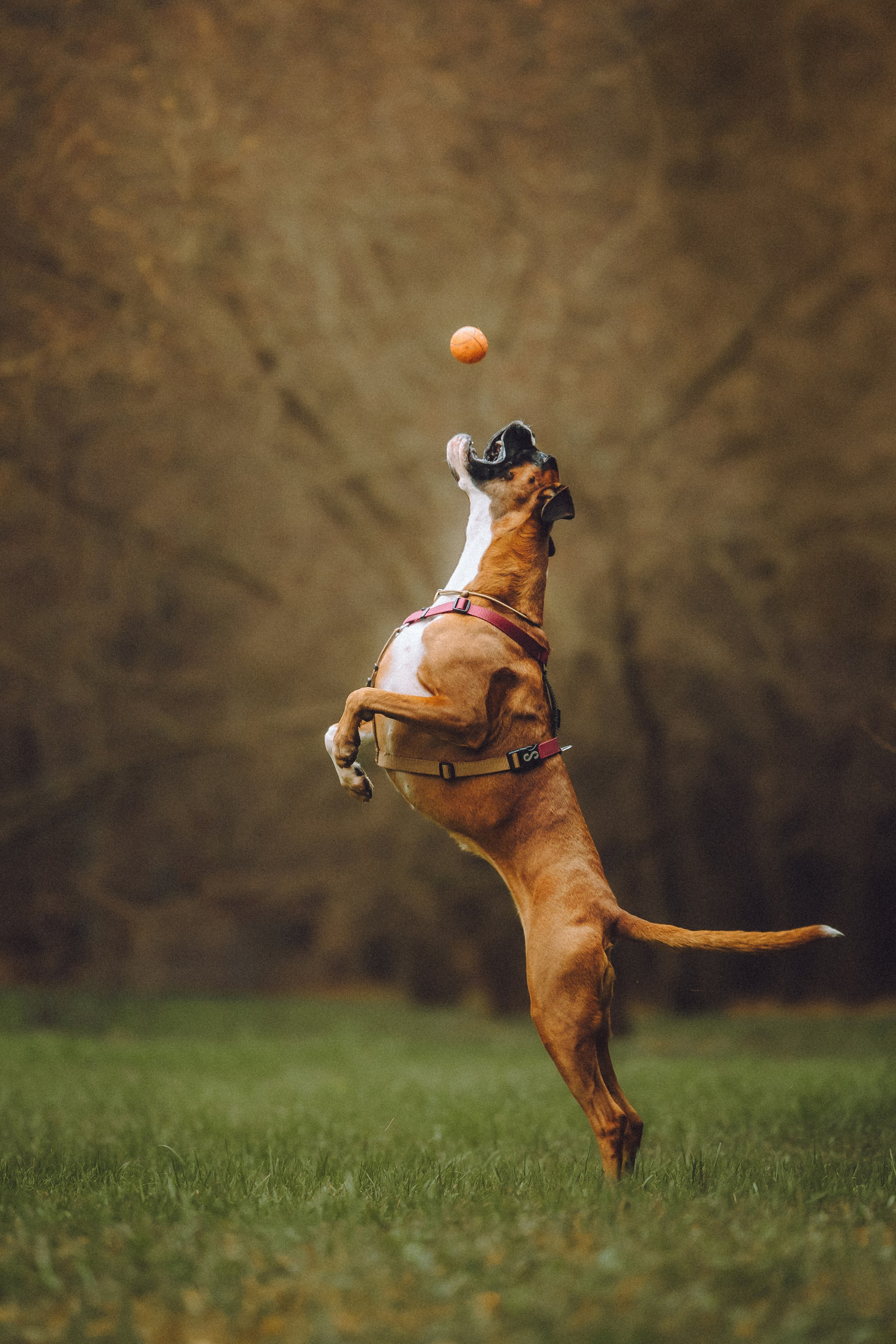 Элли и ее семья