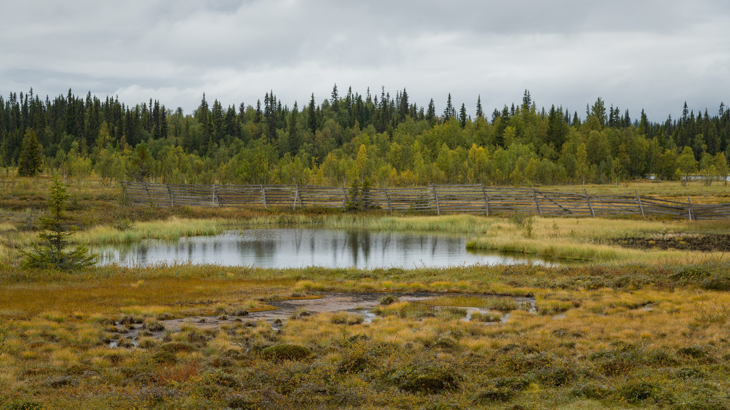 Норвегия. Северные Ночи