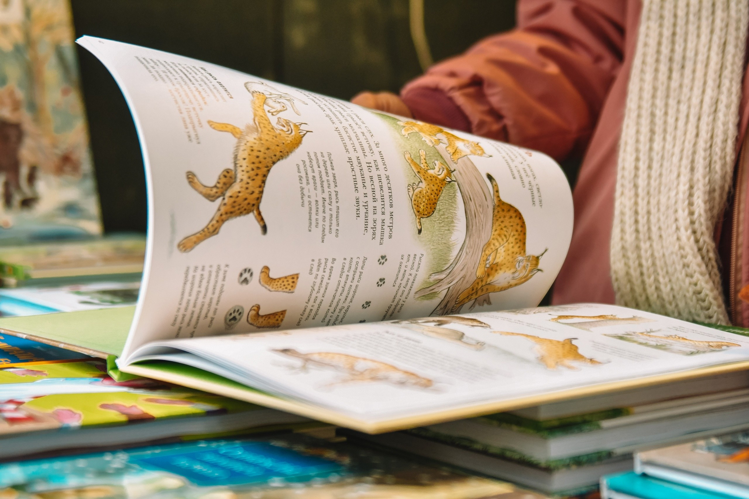 10 сосновых шишек. Kirillova Studio — мастерская декора и событий Юли Кирилловой