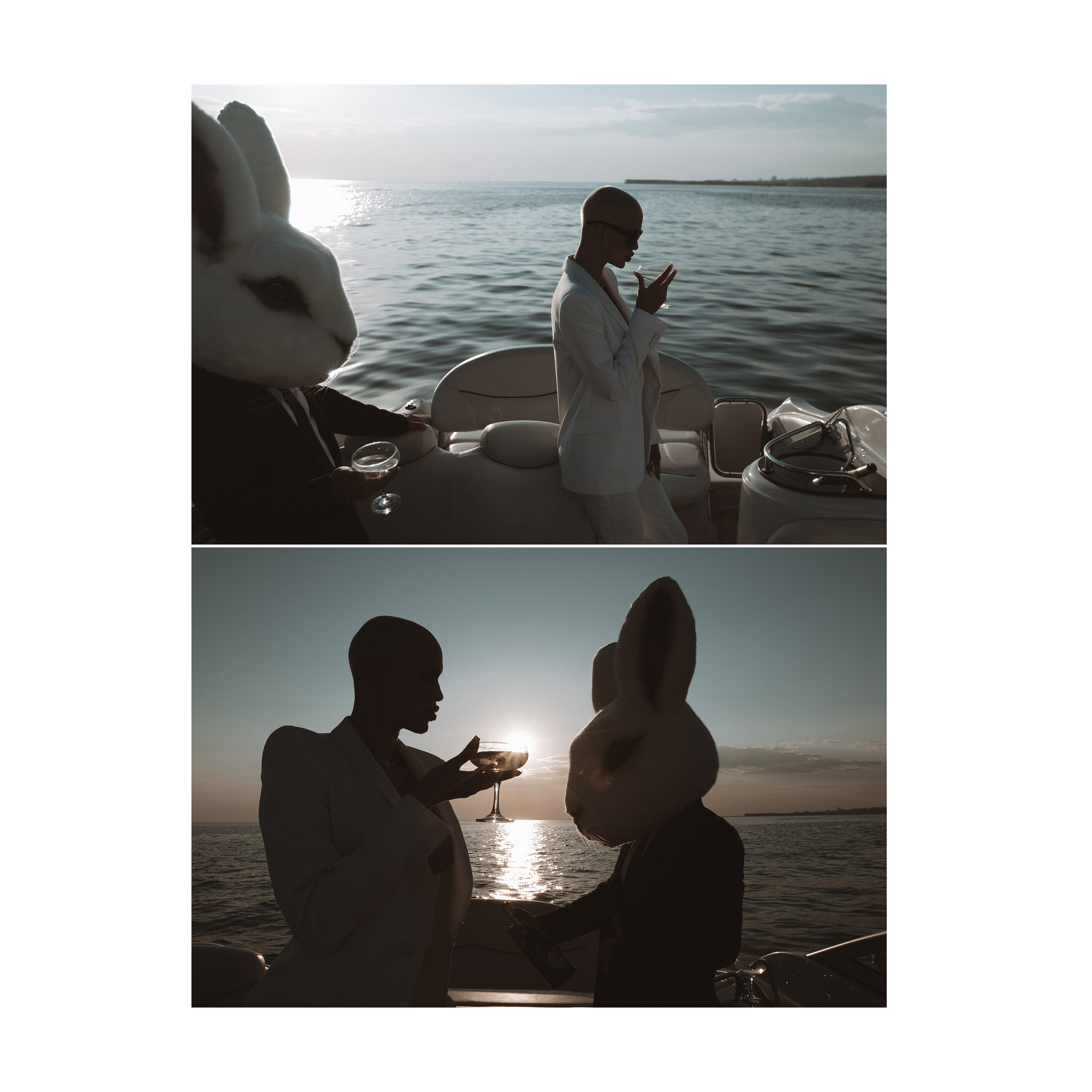 Vulgar rabbit. Wedding photographer