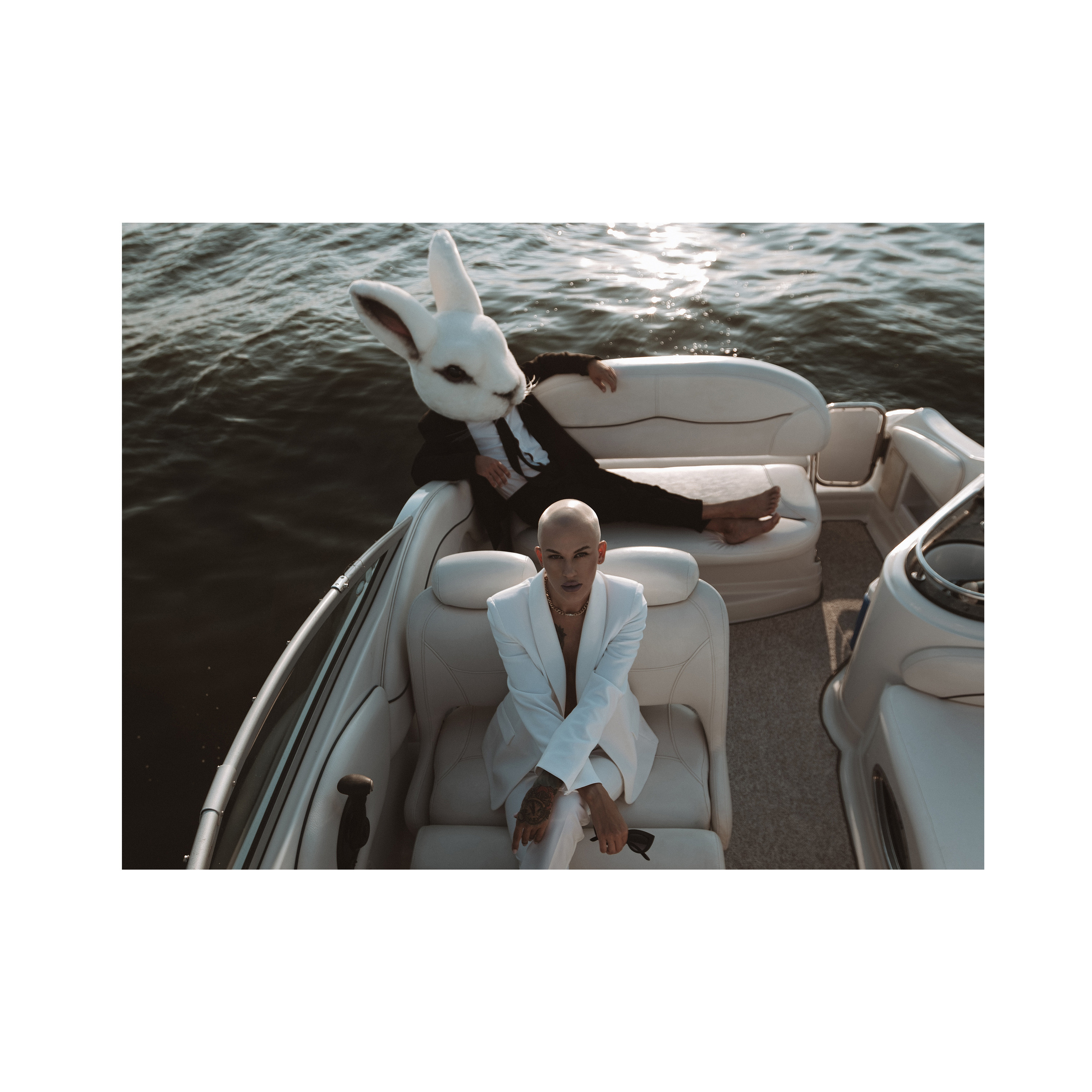 Vulgar rabbit. Wedding photographer