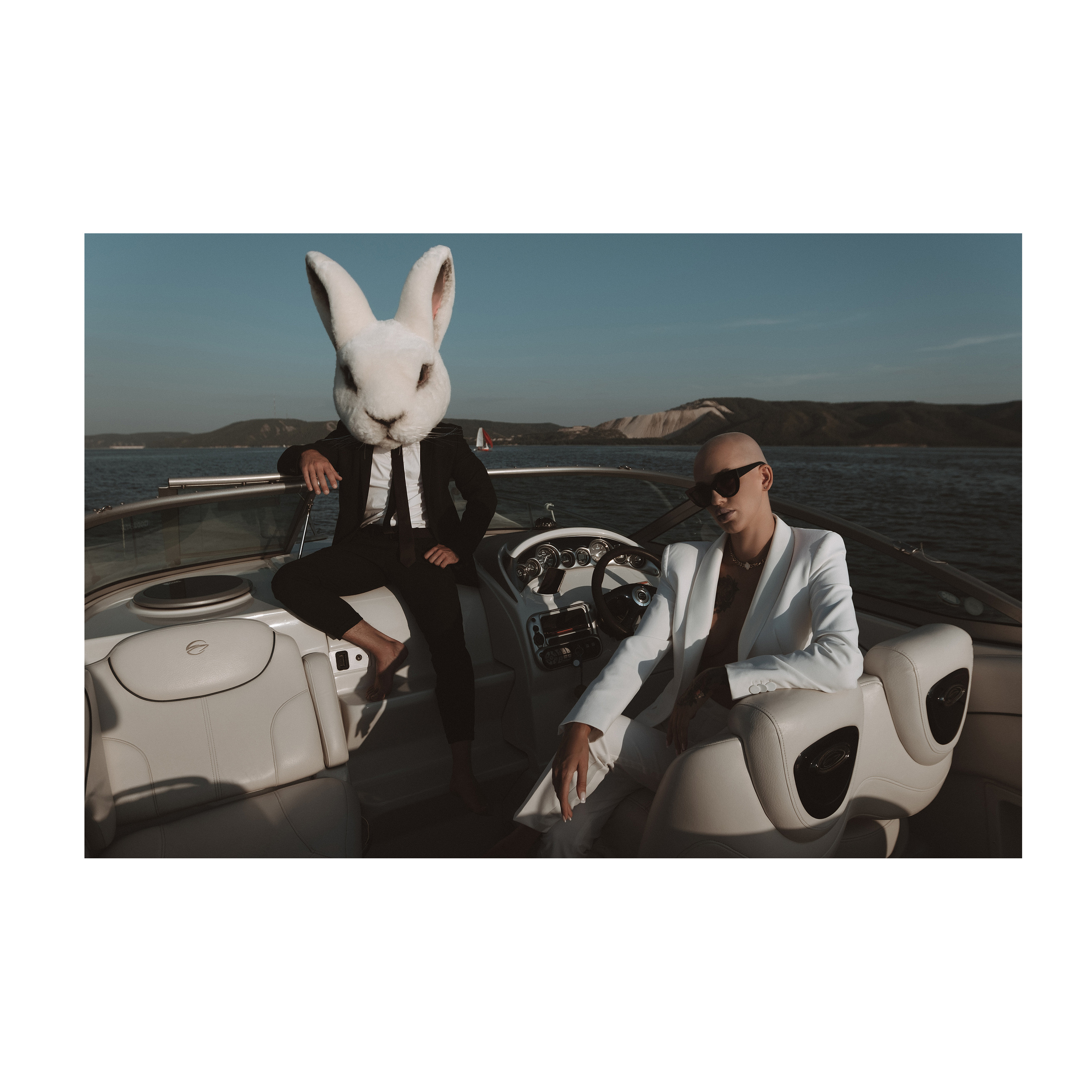 Vulgar rabbit. Wedding photographer