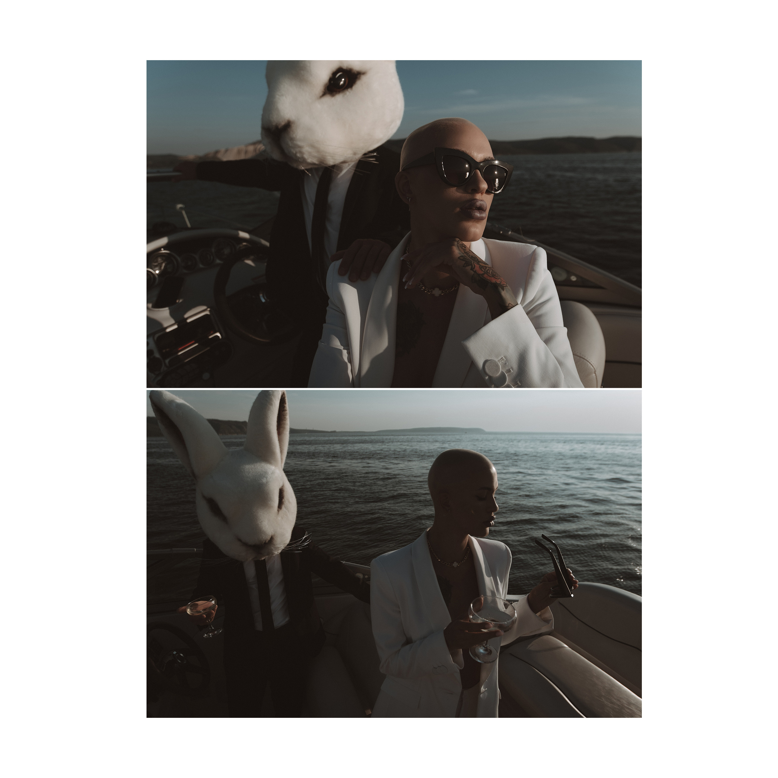 Vulgar rabbit. Wedding photographer