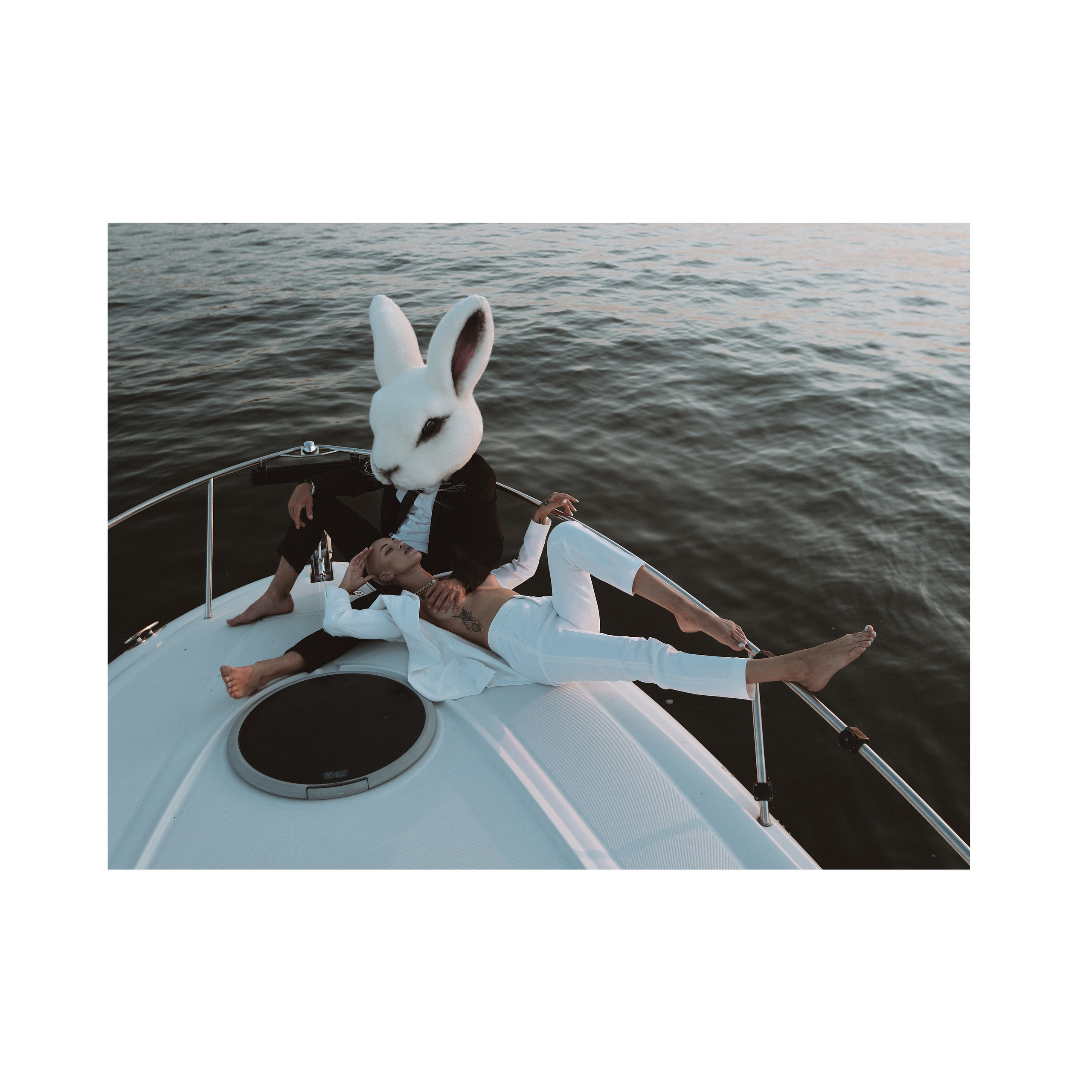 Vulgar rabbit. Wedding photographer