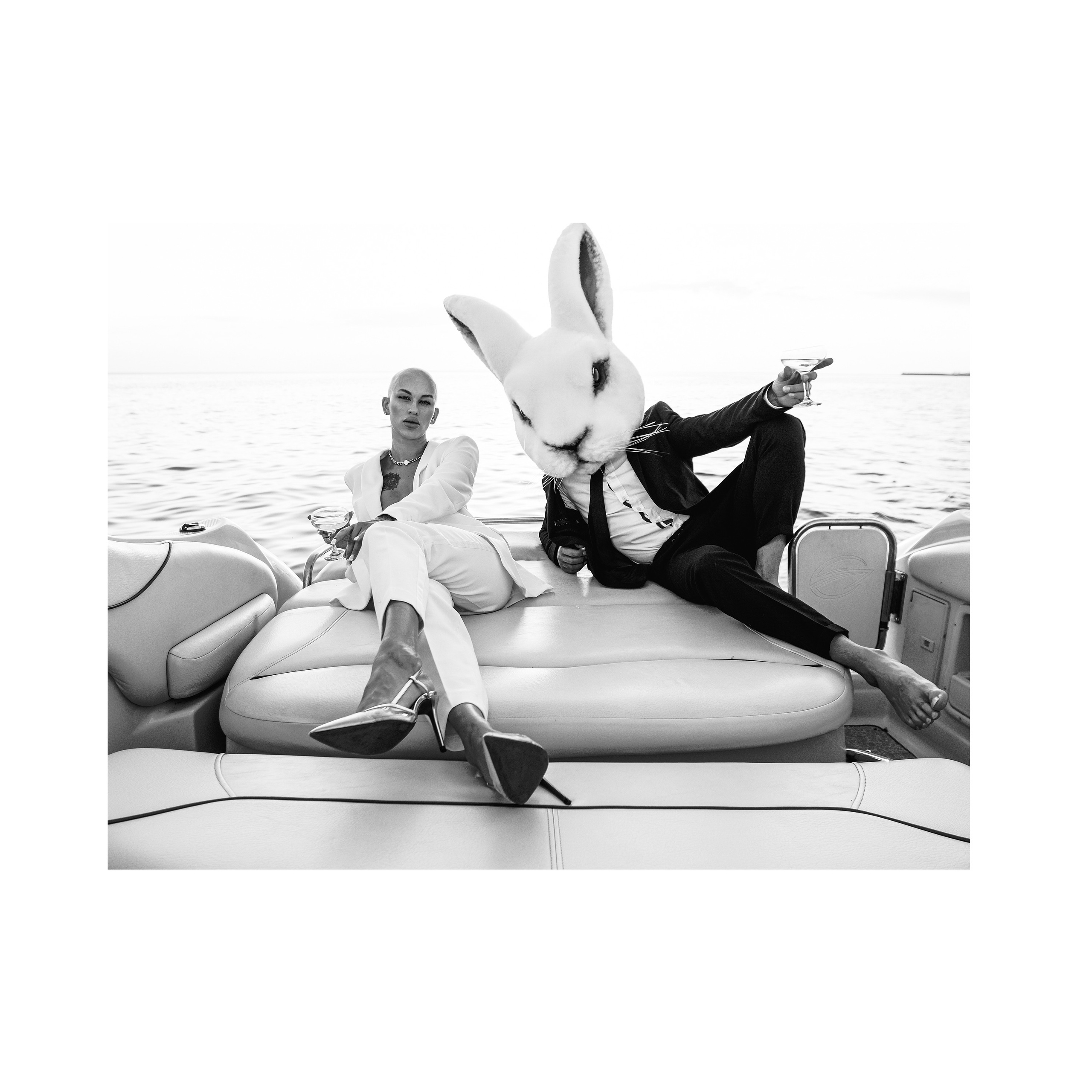 Vulgar rabbit. Wedding photographer