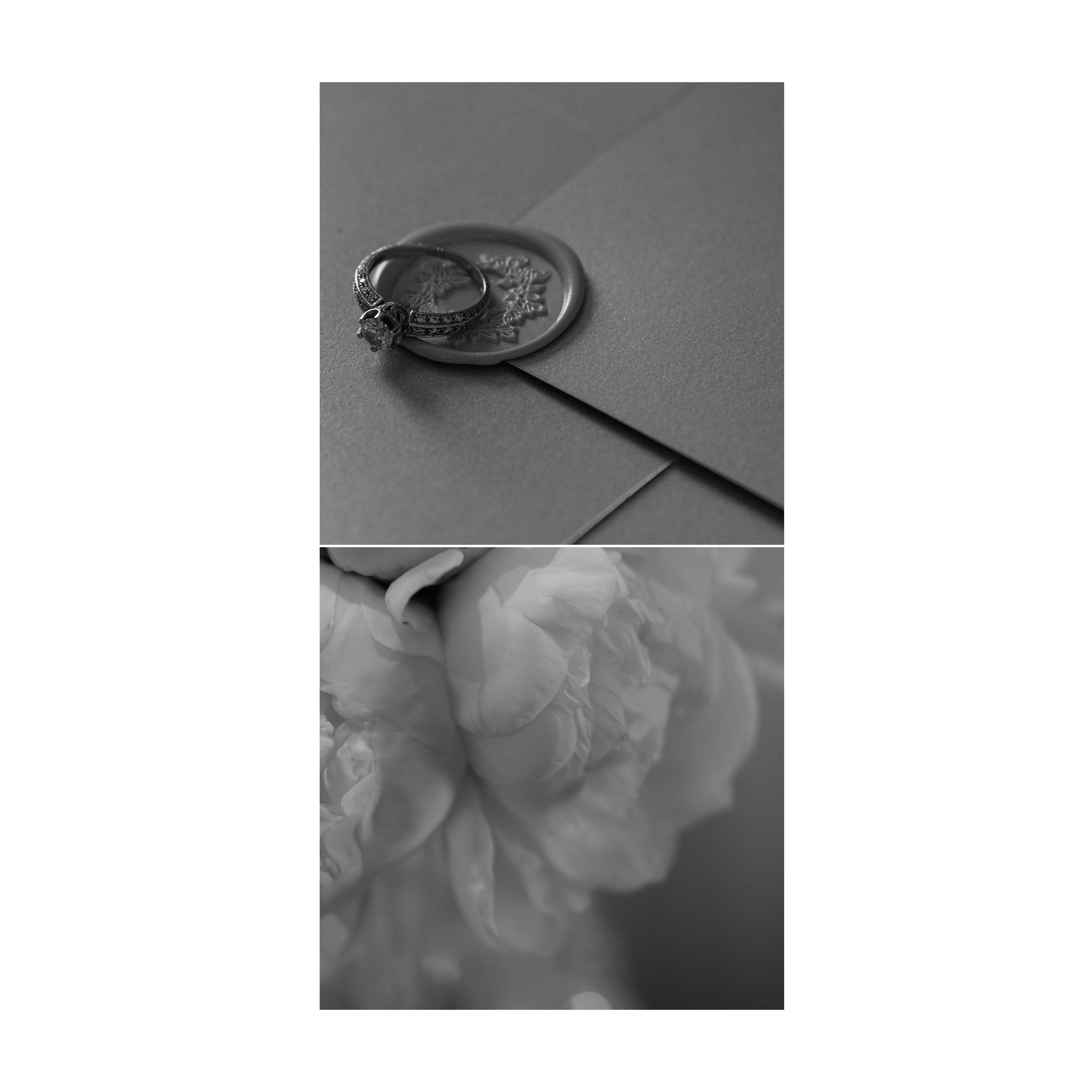 Mordor. Wedding photographer