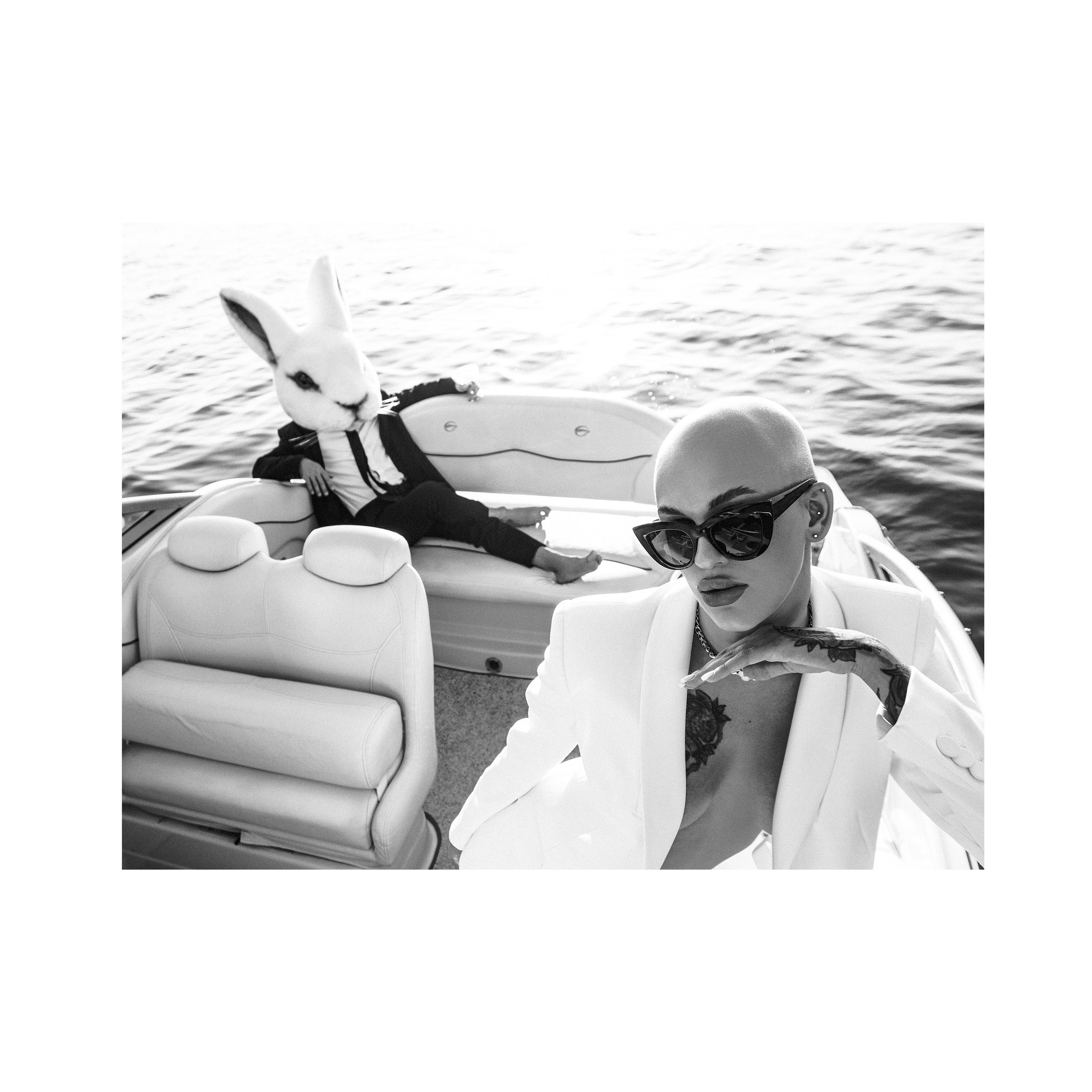 Vulgar rabbit. Wedding photographer