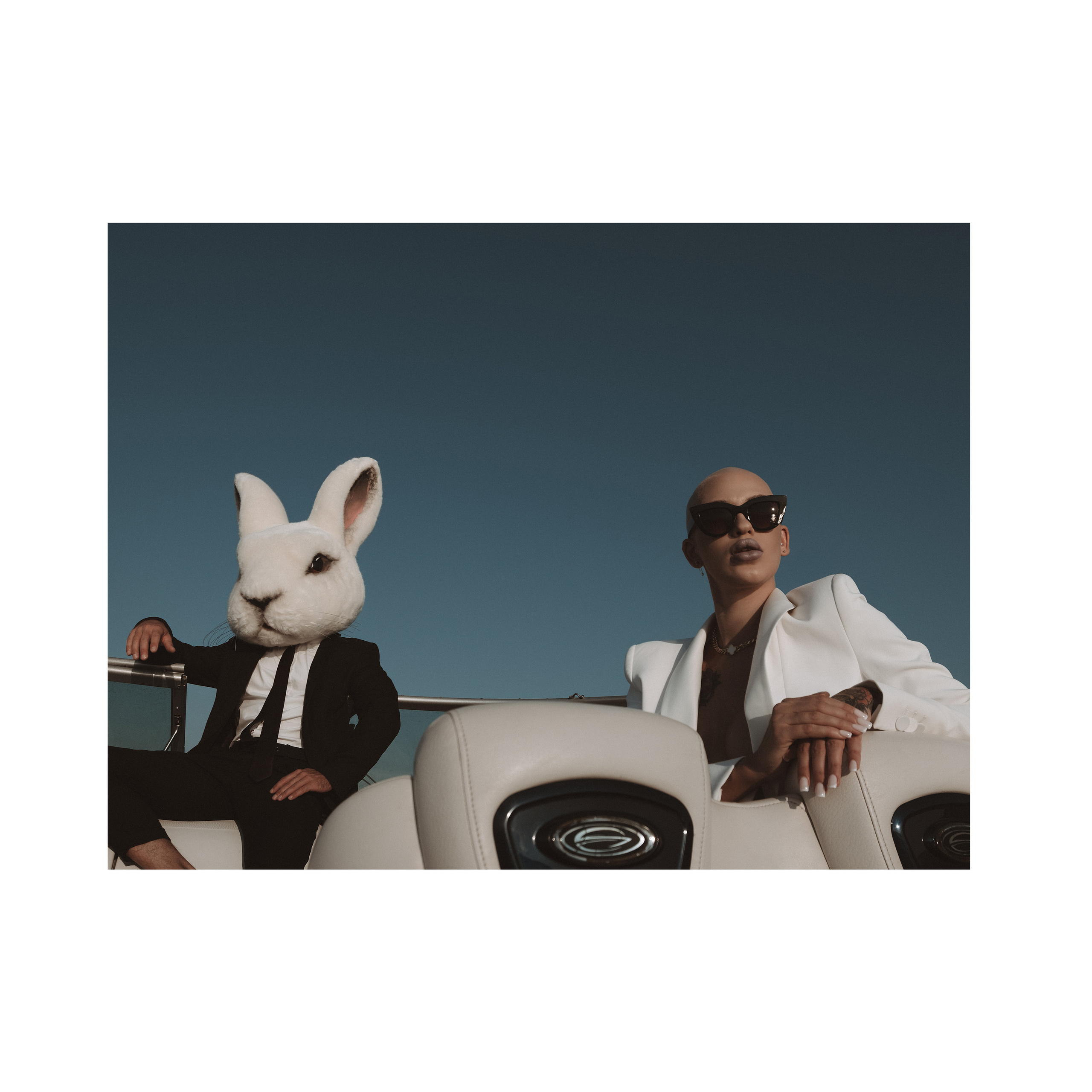 Vulgar rabbit. Wedding photographer