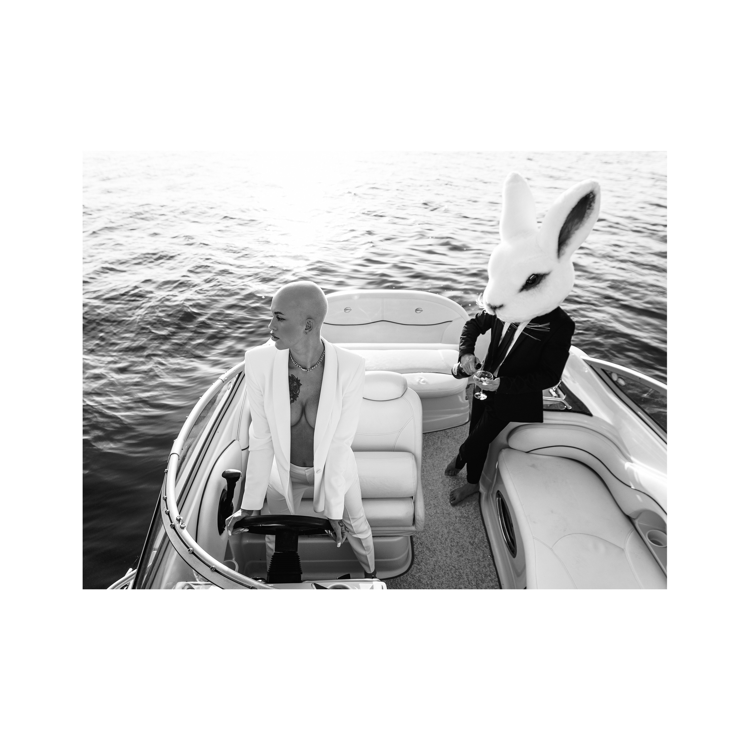 Vulgar rabbit. Wedding photographer