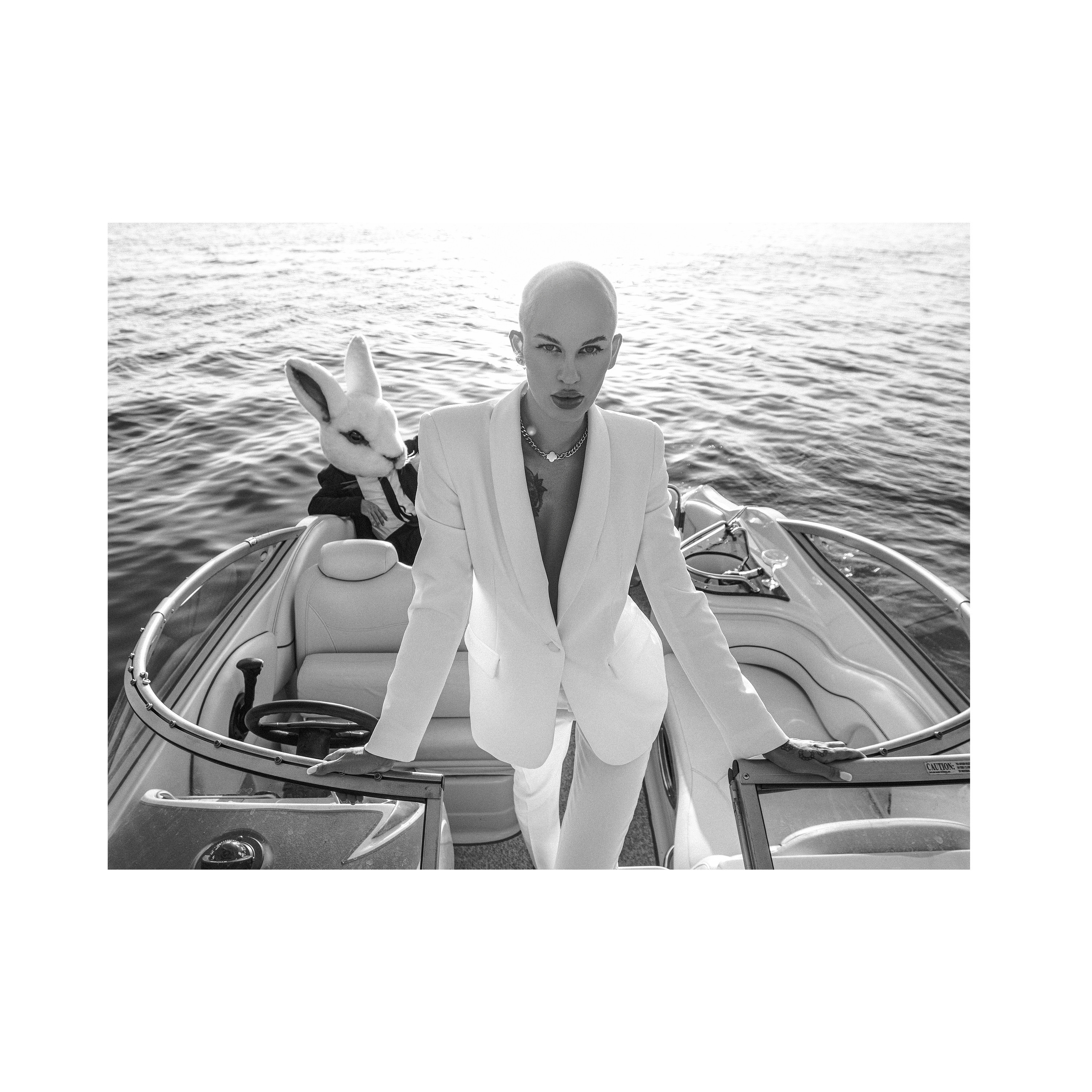 Vulgar rabbit. Wedding photographer