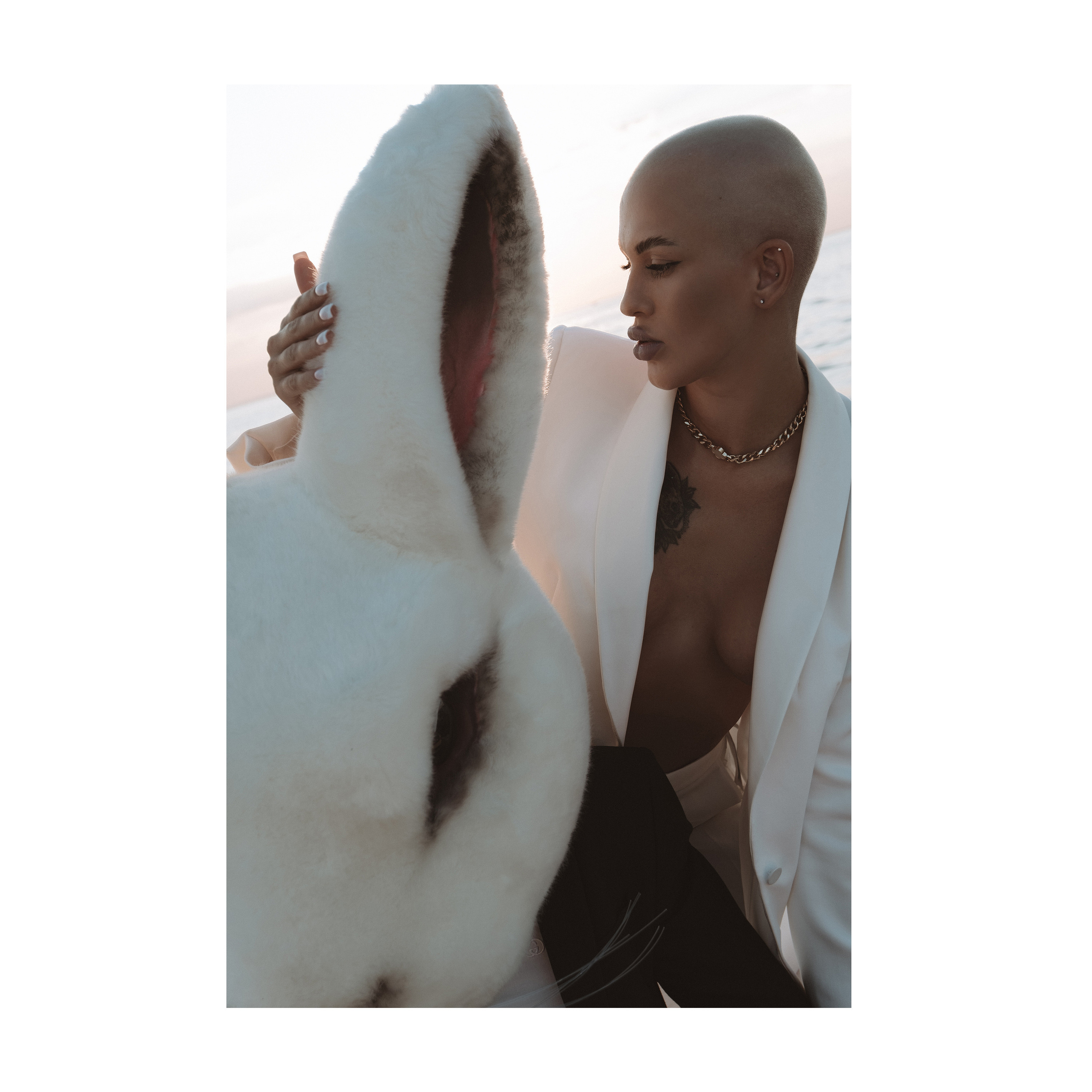 Vulgar rabbit. Wedding photographer