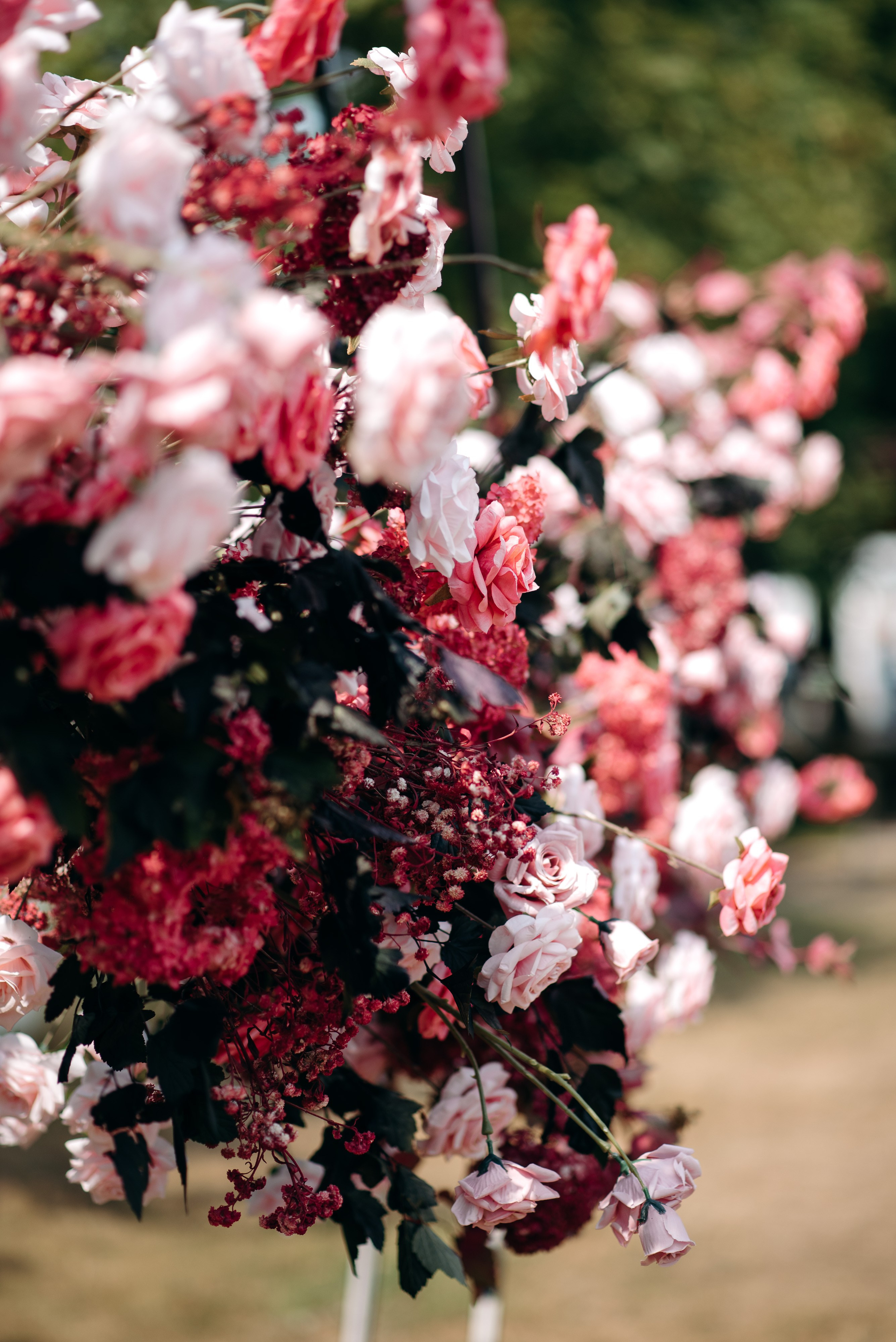 Николай и Анита. Фотограф Тривашкевич Александр