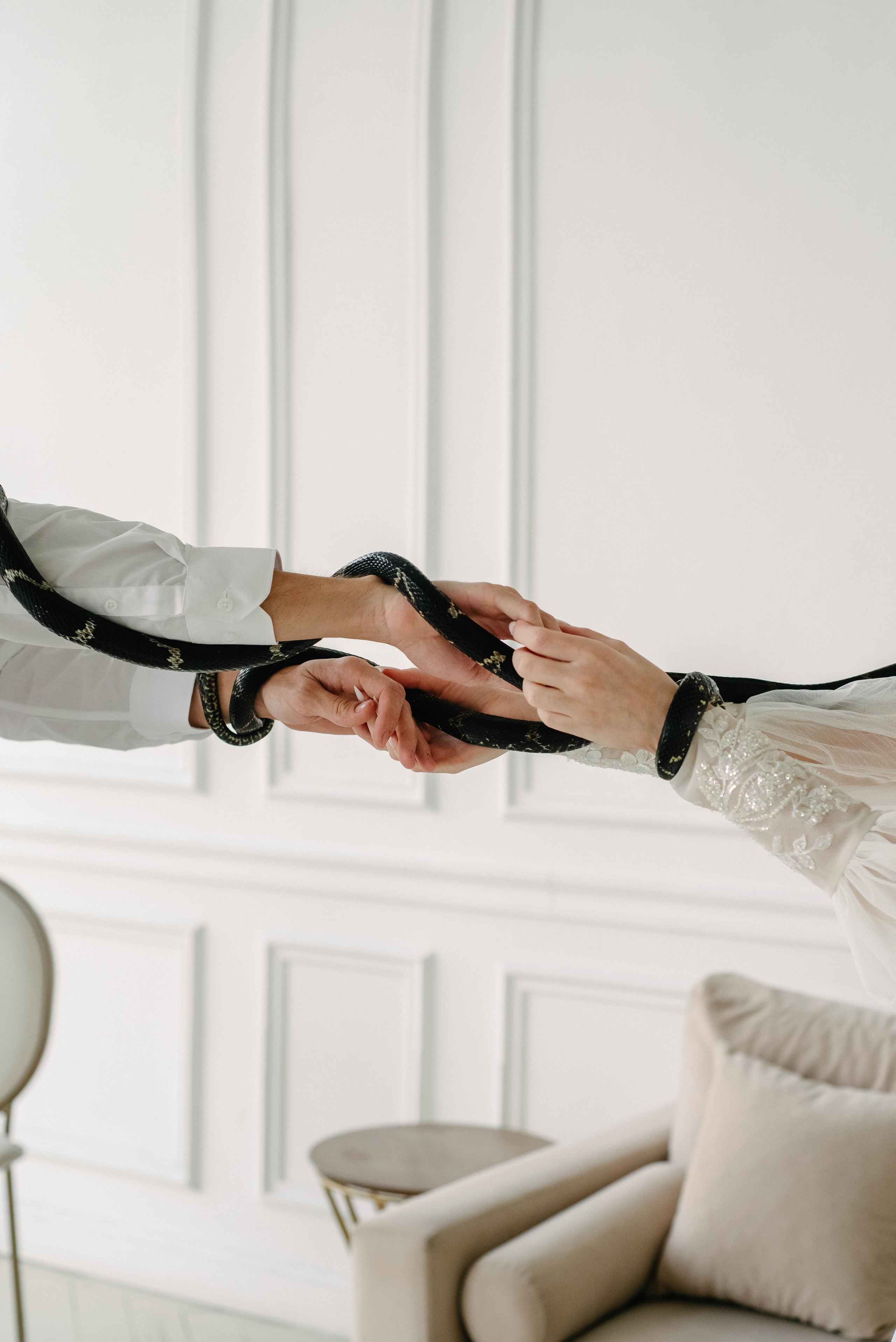 Юля & Антон. Свадебный фотограф и видеограф в Новосибирске