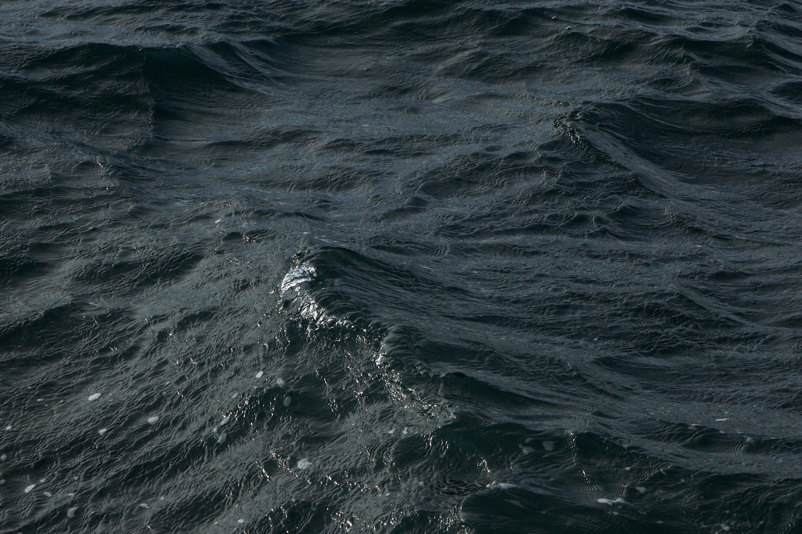 Цветные фотографии Анапы. Профессиональный фотограф в Анапе Артем Ковальский