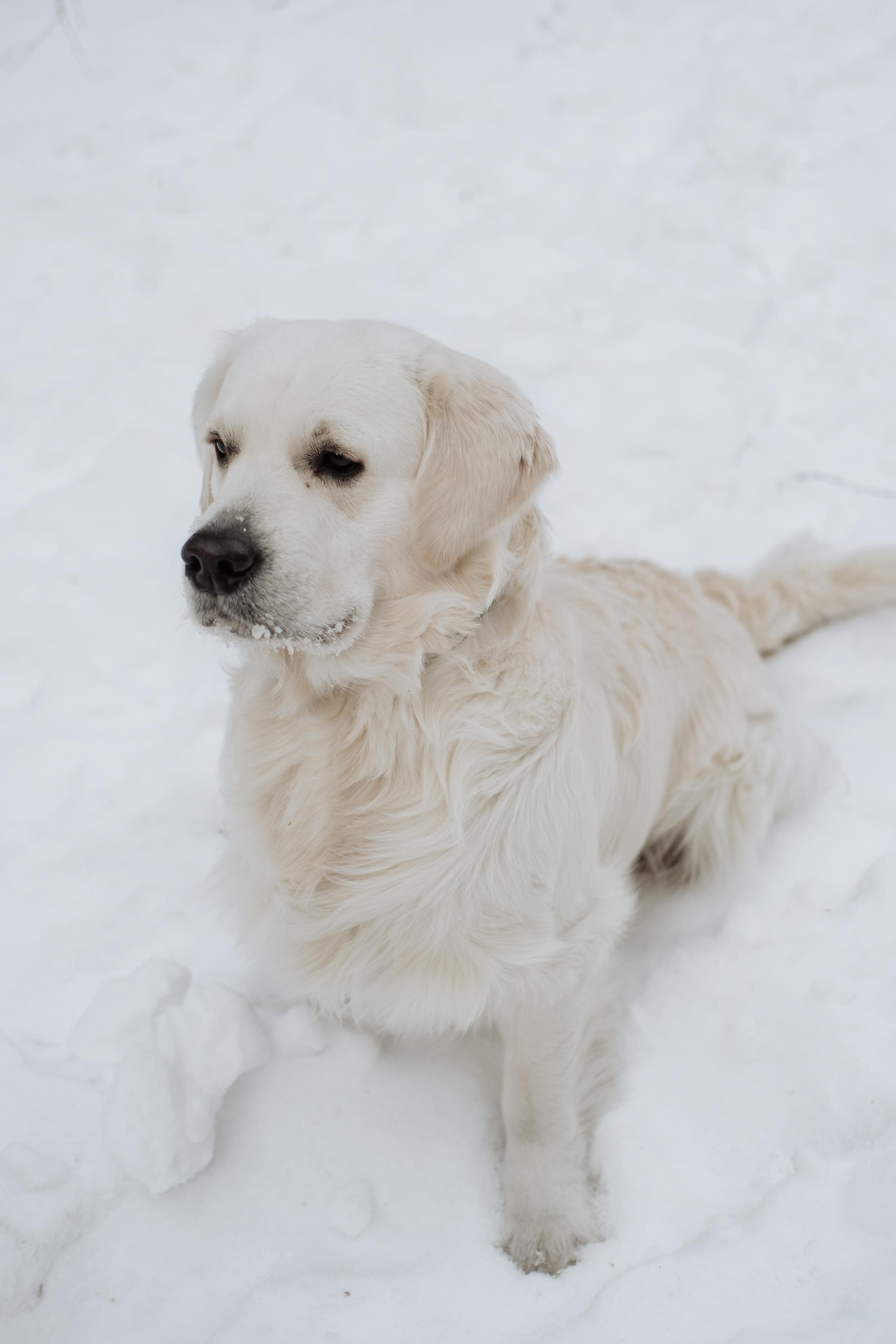 Warm winter. Photographer Cologne Bonn Europe Anna Ketova