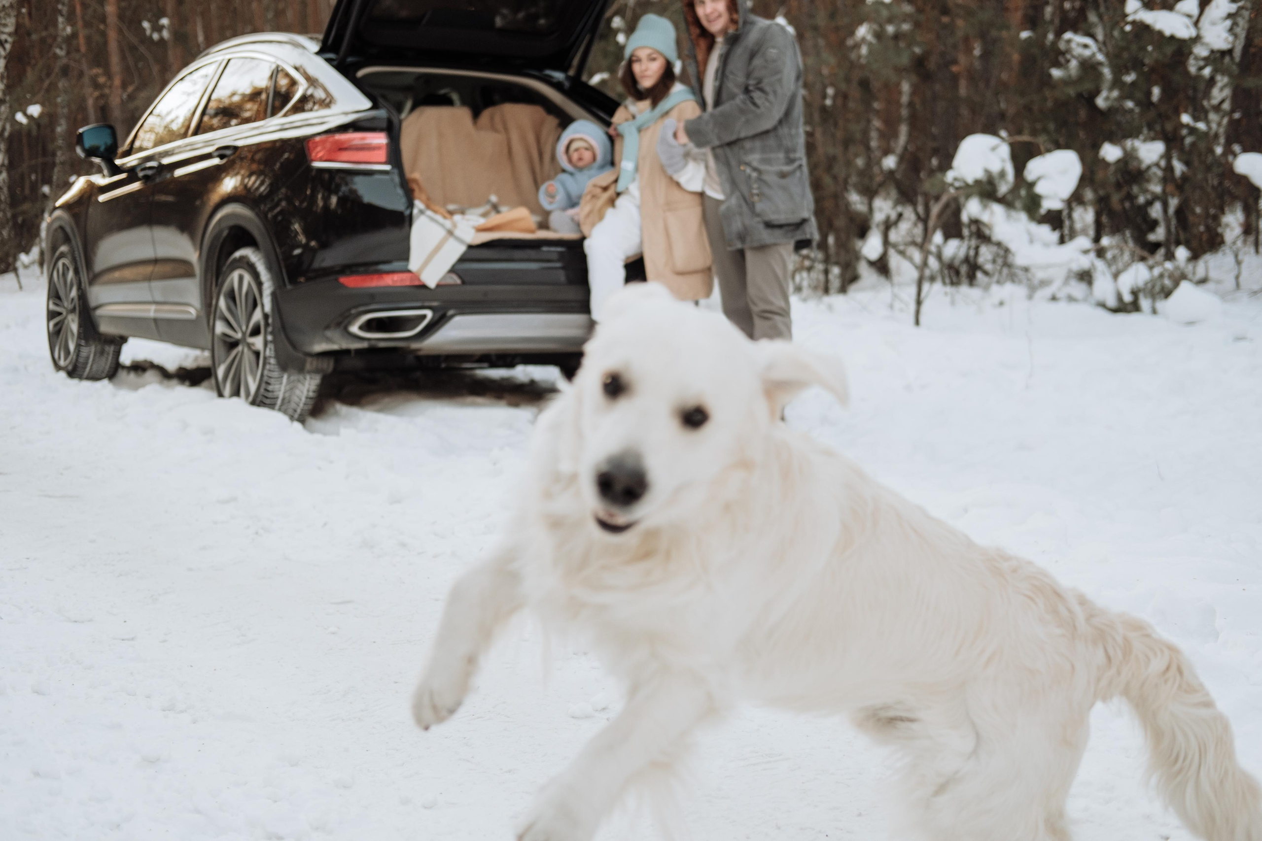 Warm winter. Photographer Cologne Bonn Europe Anna Ketova