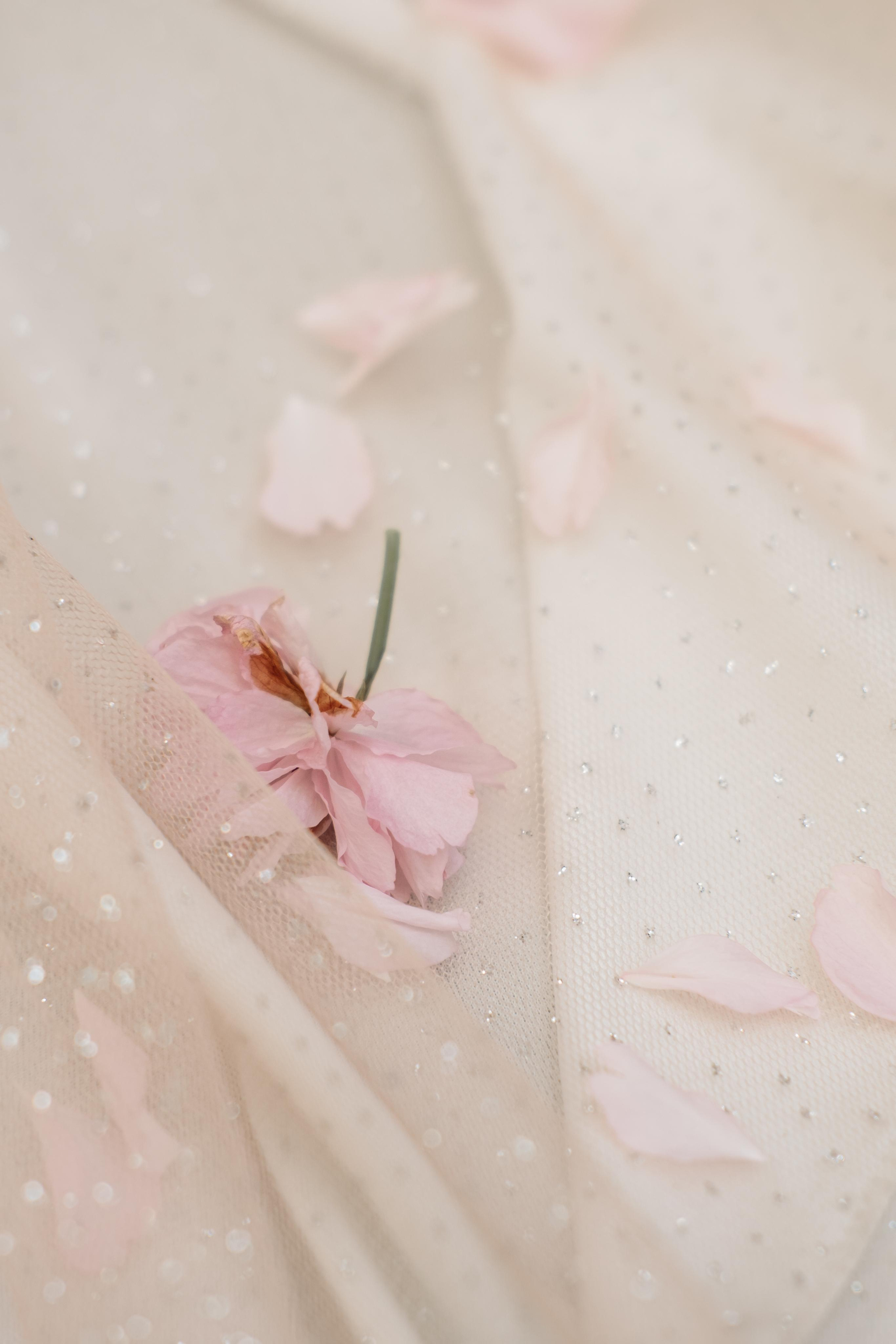 Wedding dresses Bonn. Photographer Cologne Bonn Europe Anna Ketova