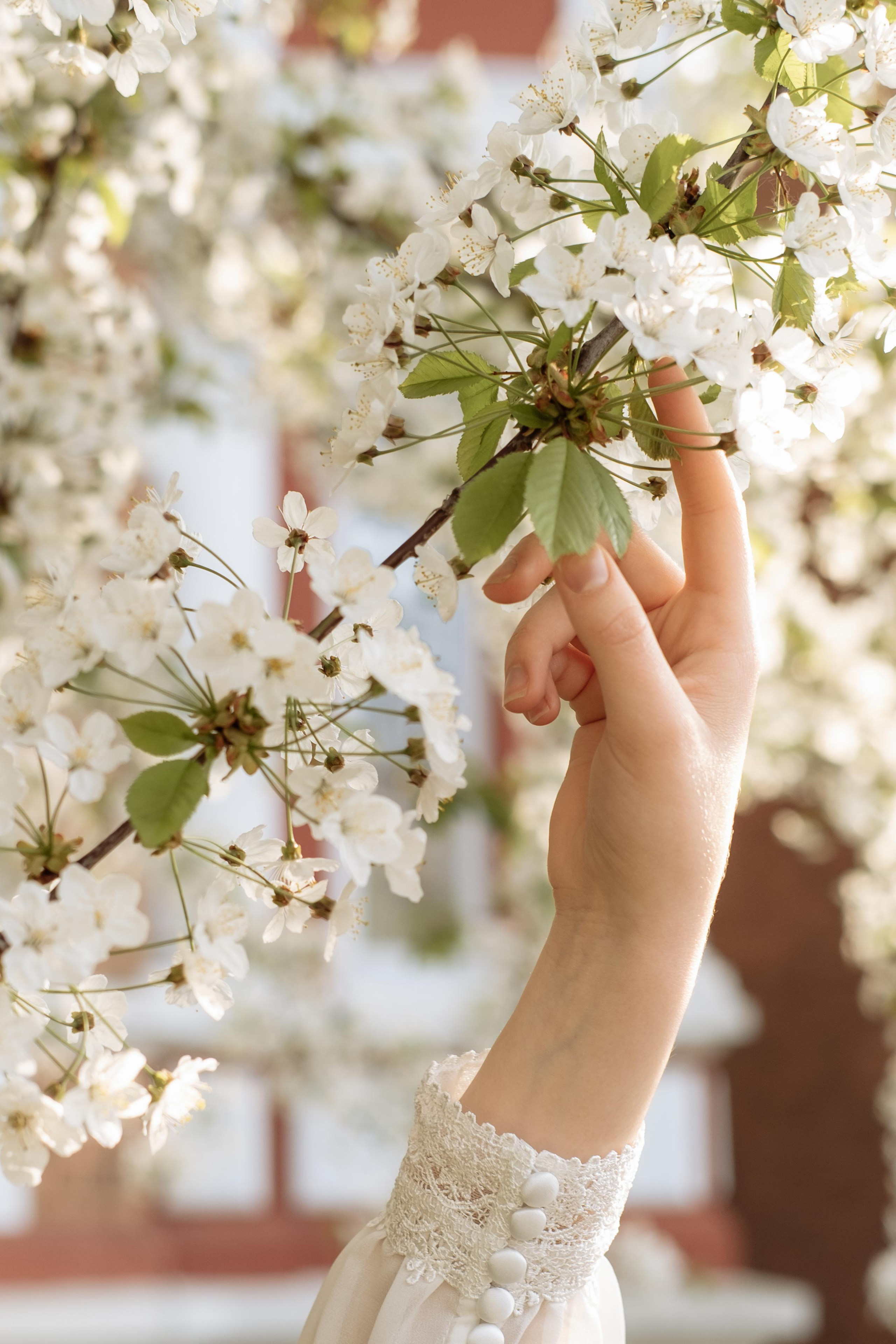 Wedding dresses Bonn. Photographer Cologne Bonn Europe Anna Ketova