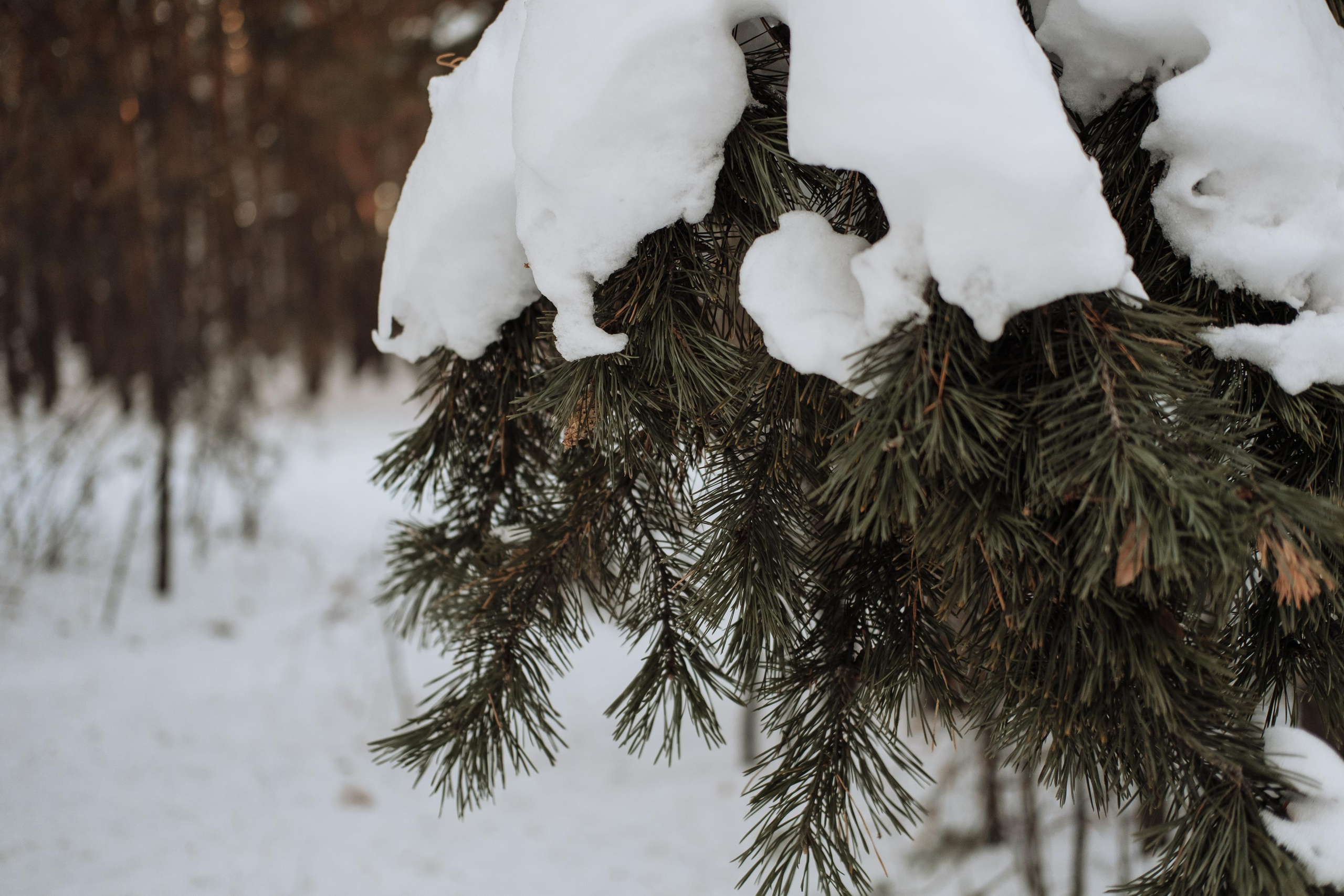 Warm winter. Photographer Cologne Bonn Europe Anna Ketova