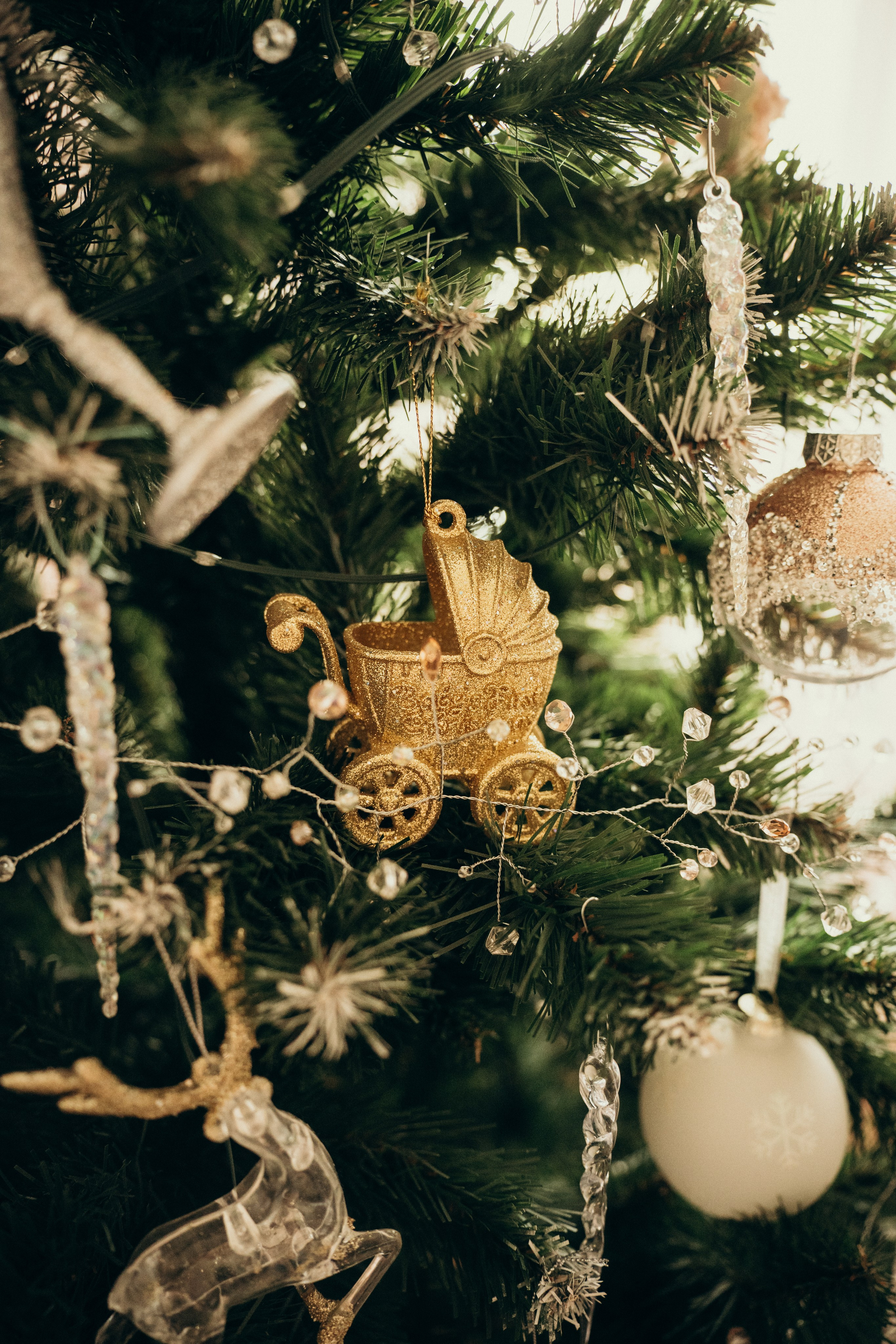 Александр, Мария и Павлуша