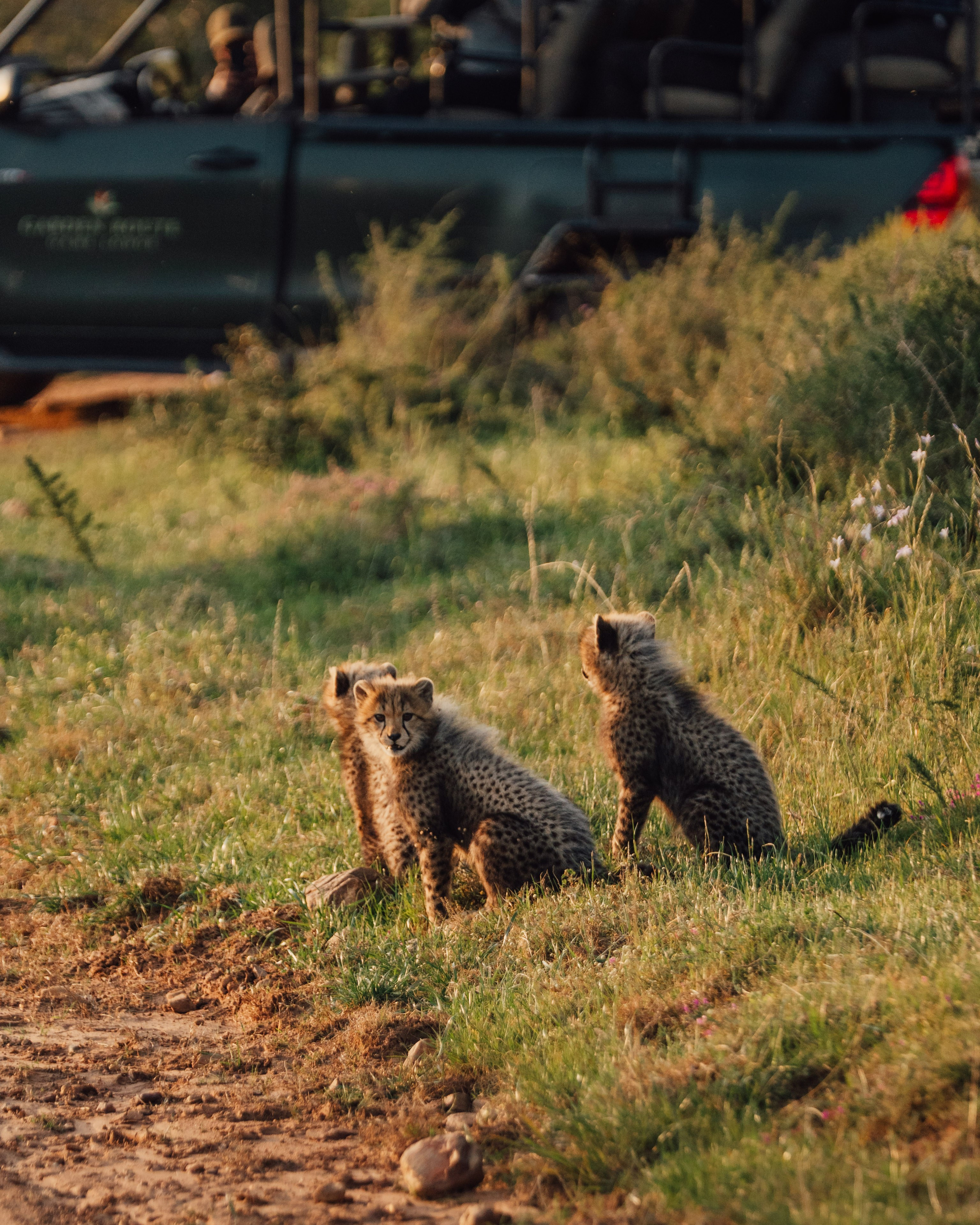 Africa/UAR. @oljiofilm: Олег Иванов — фотограф