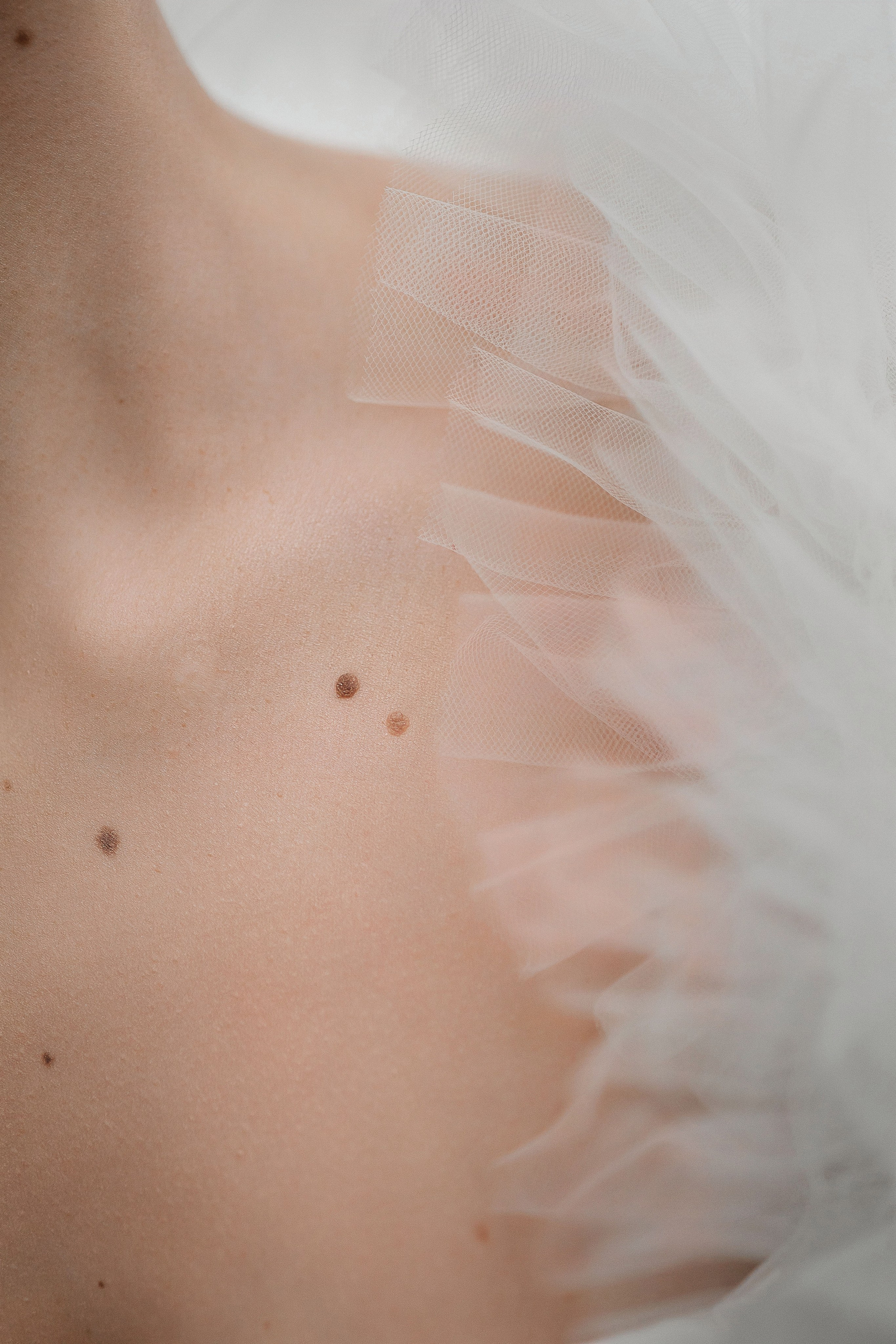 Тюльпаны. Фотограф в Севастополе — Евгения Бойко