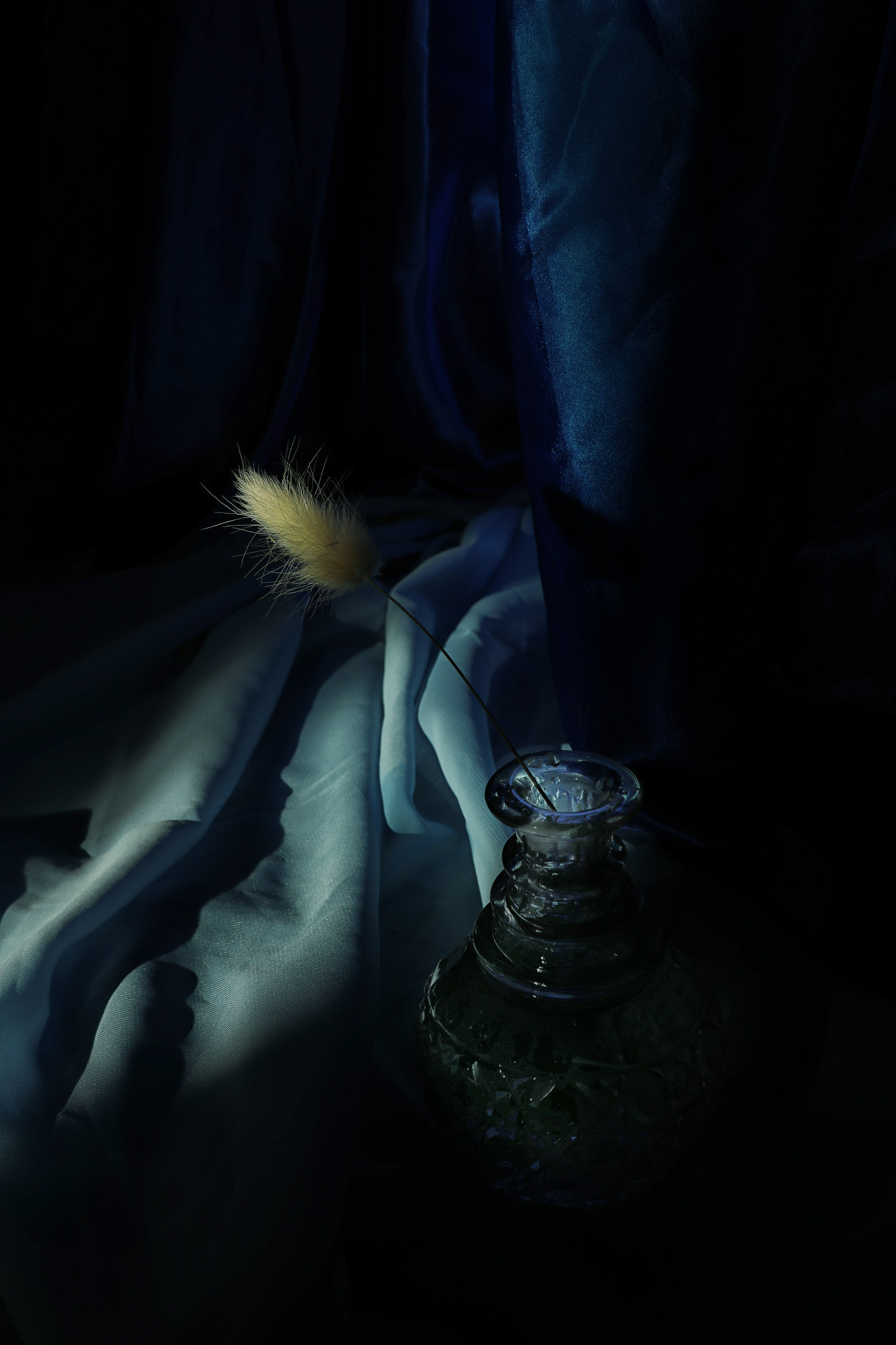 Интерьерные фотокартины. Фотограф Наталья Туева FineArt съёмка