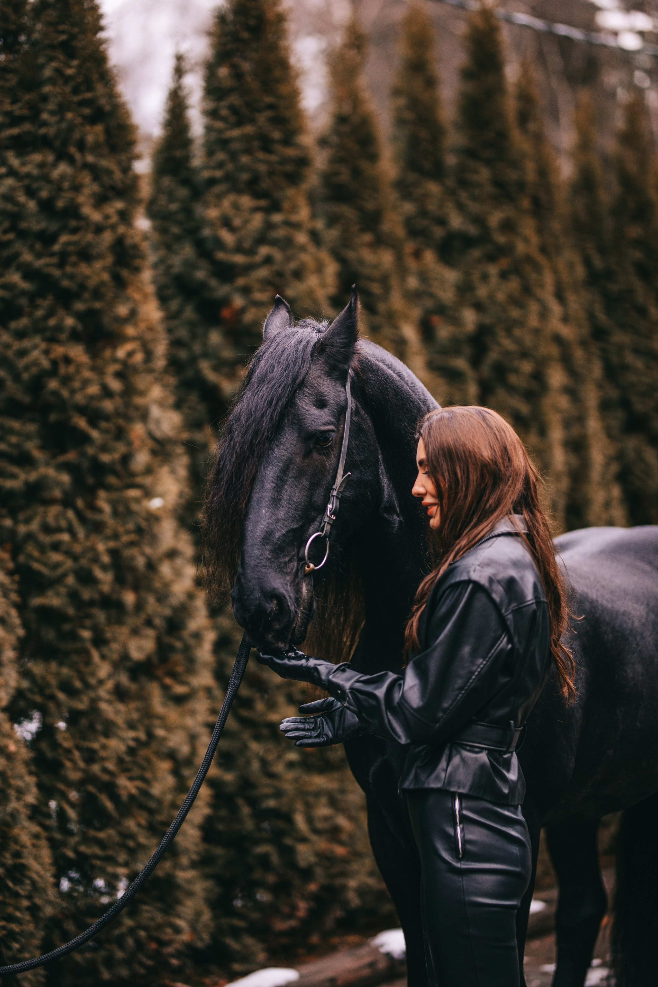 Фотосессия с лошадьми в Москве. Фотосессии с лошадьми