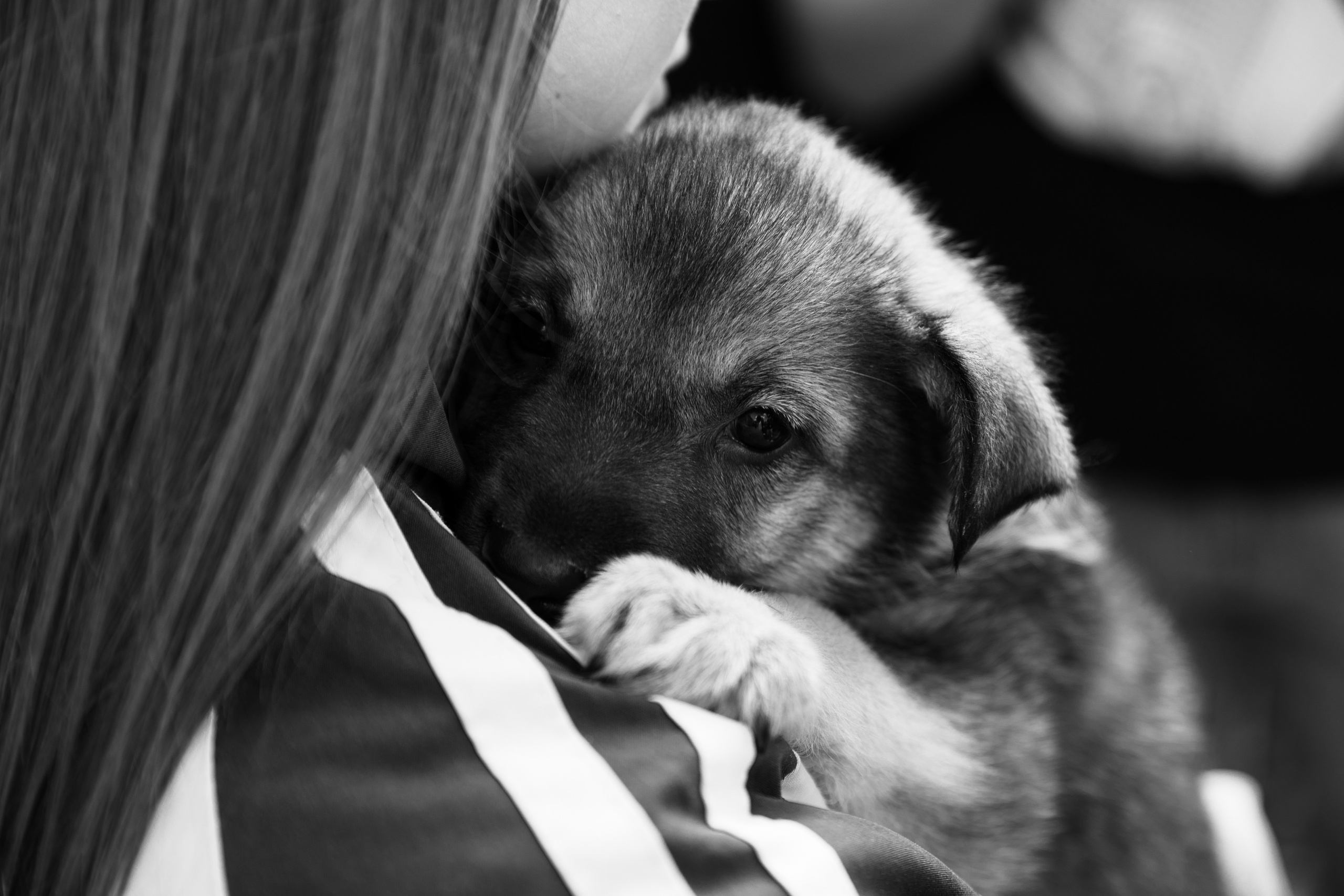 Приют — Наш дом. Репортажный и свадебный фотограф в Челябинске Елисеев Павел