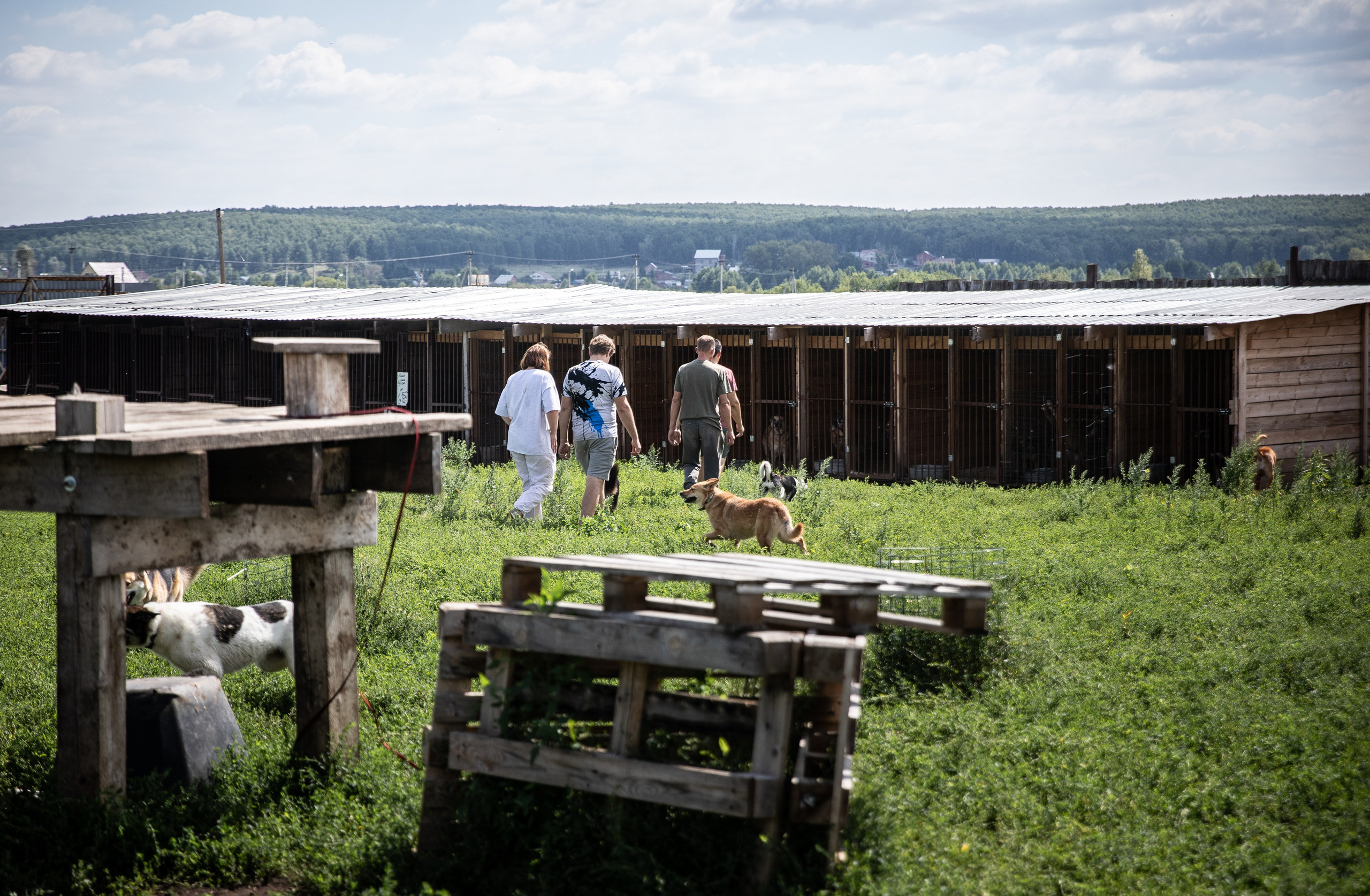 Приют — Наш дом. Репортажный и свадебный фотограф в Челябинске Елисеев Павел