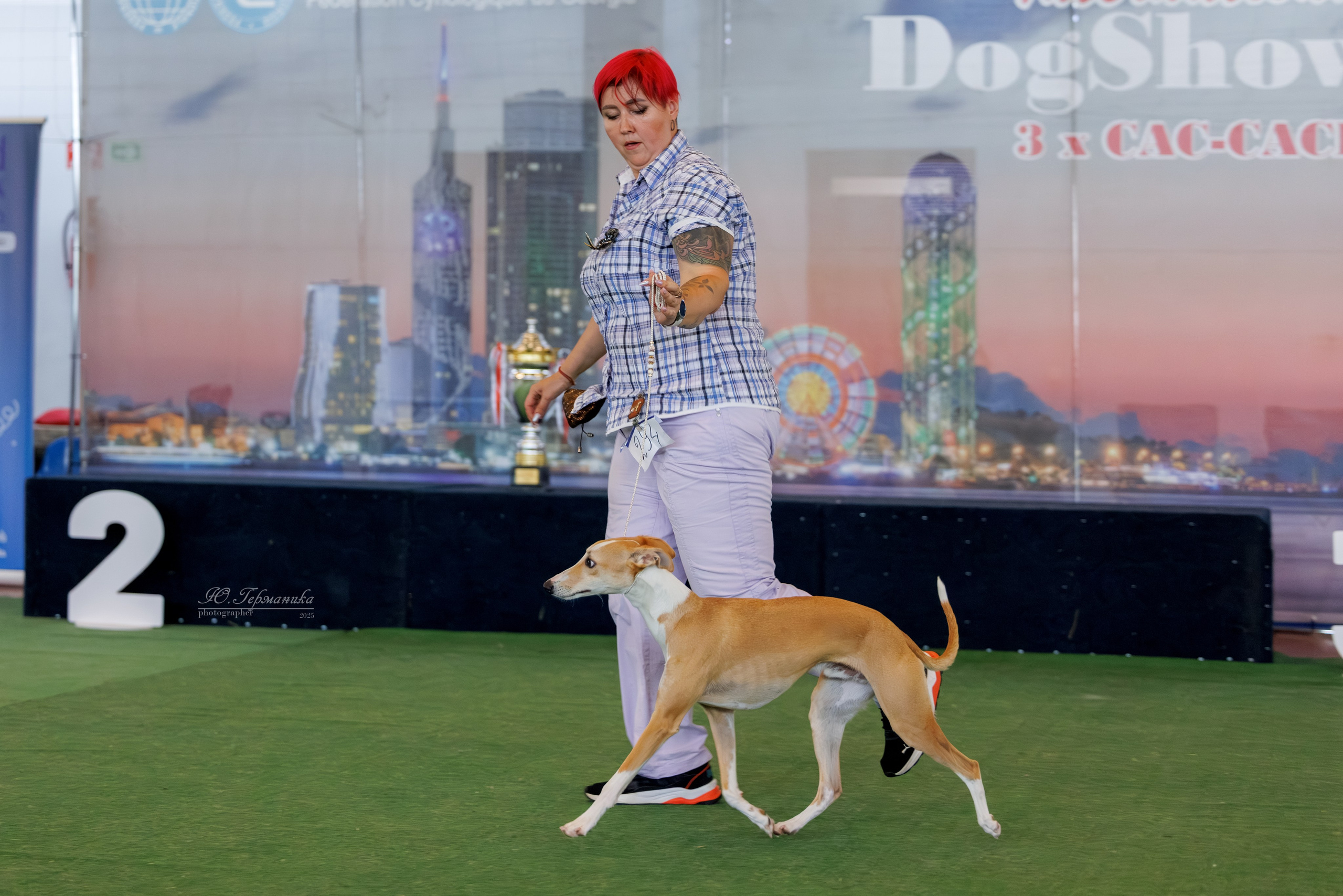 Батуми 3хCACIB 27-29.06.2025. Фотограф-анималист Юлия Германика